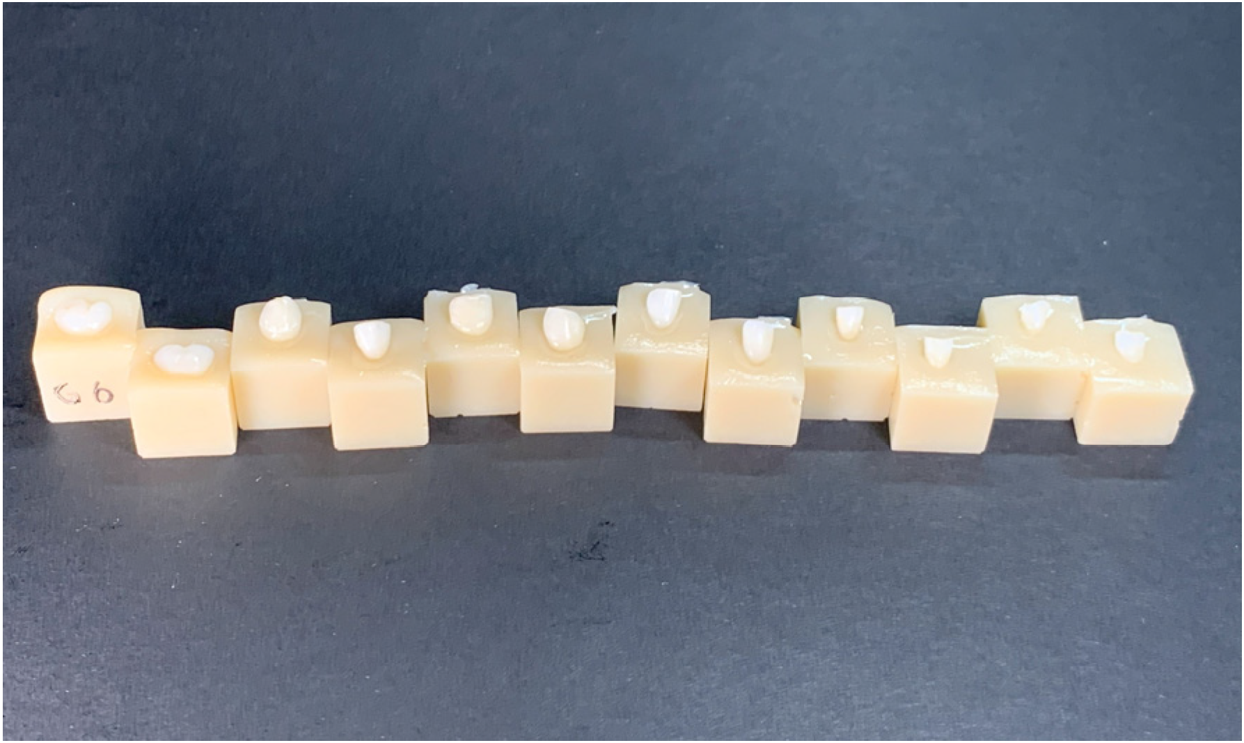 Children 11 01069 g002