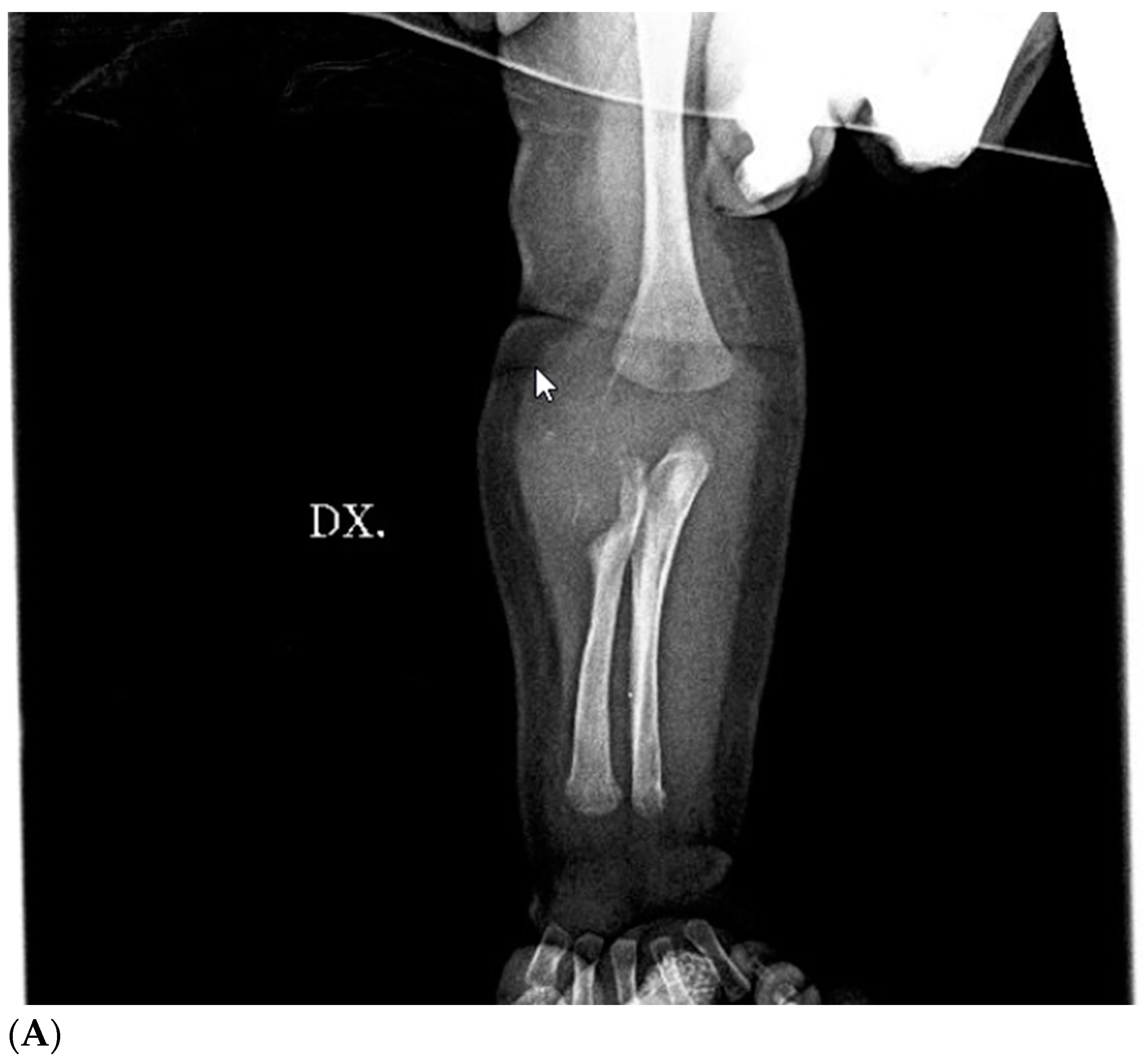 Children 11 01126 g003a