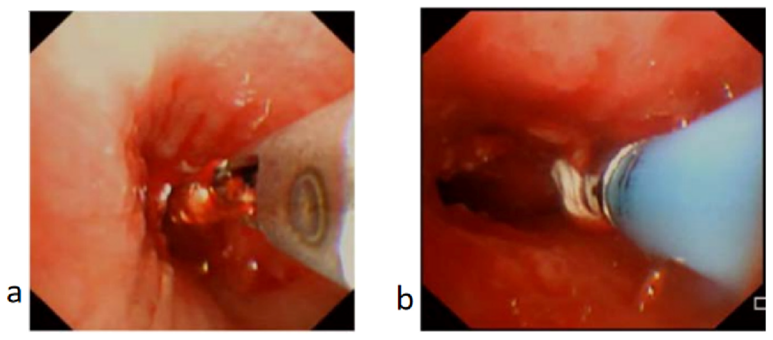 Children 11 01130 g004