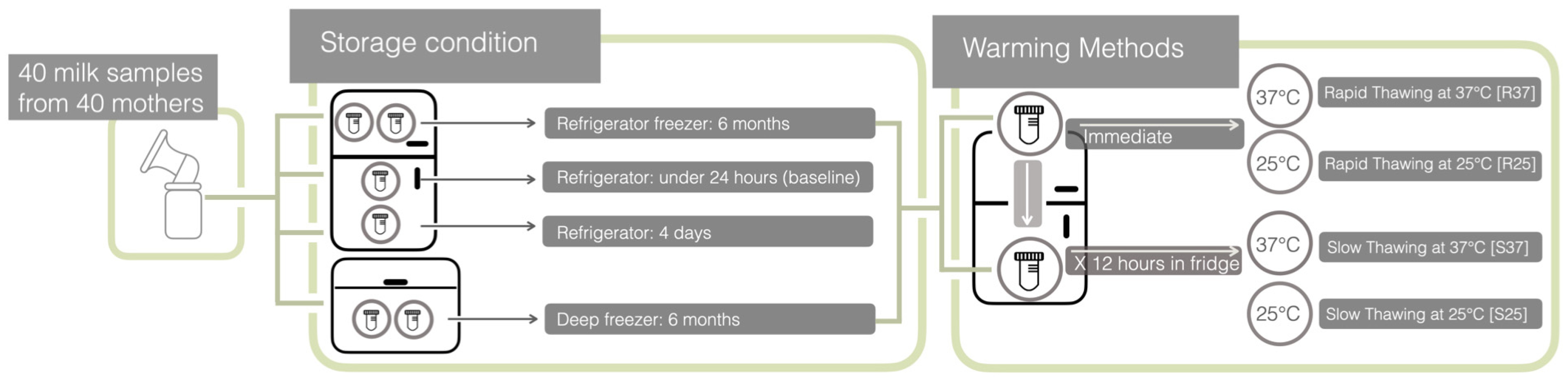 Children 11 01133 g001