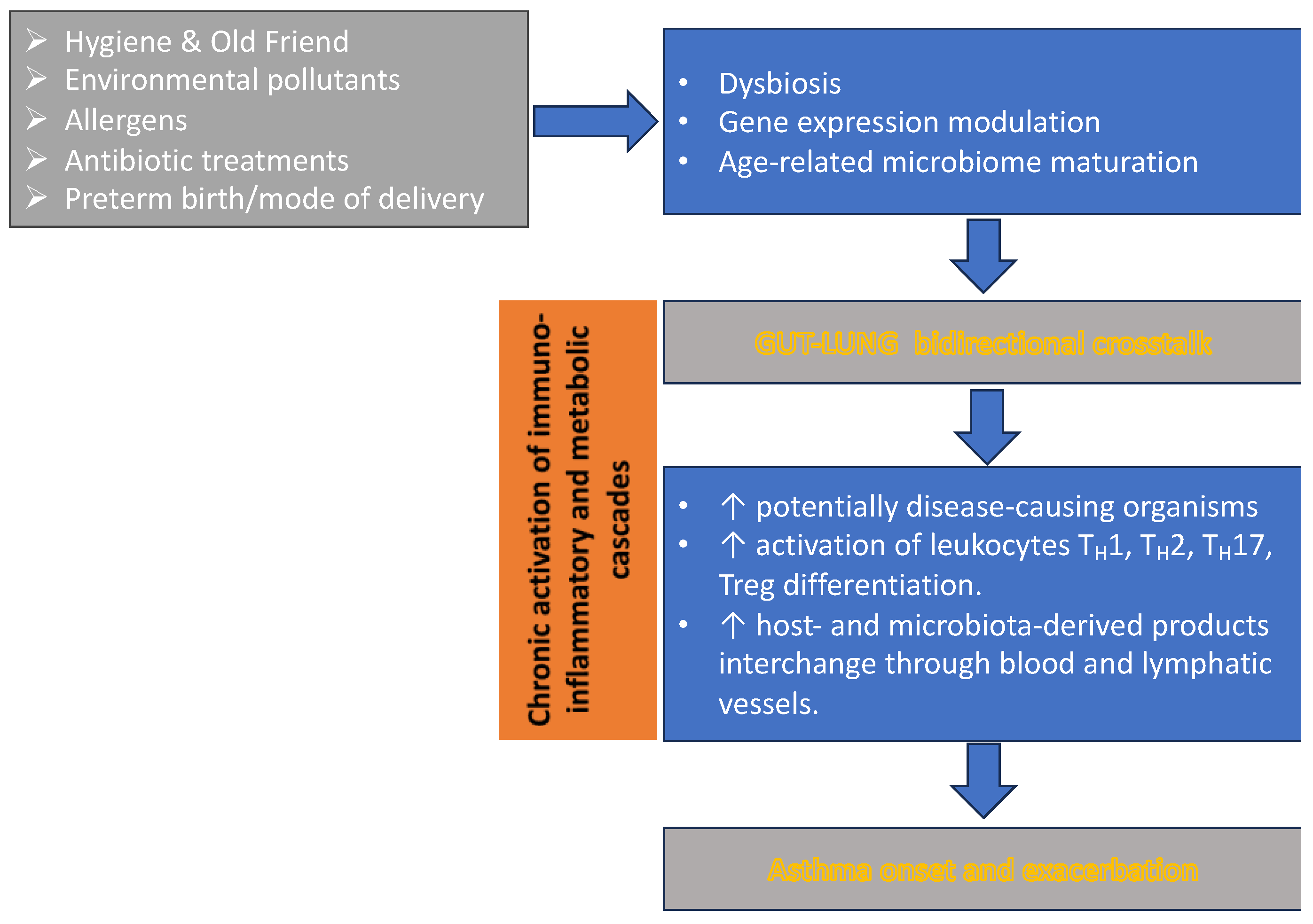 Children 11 01175 g001