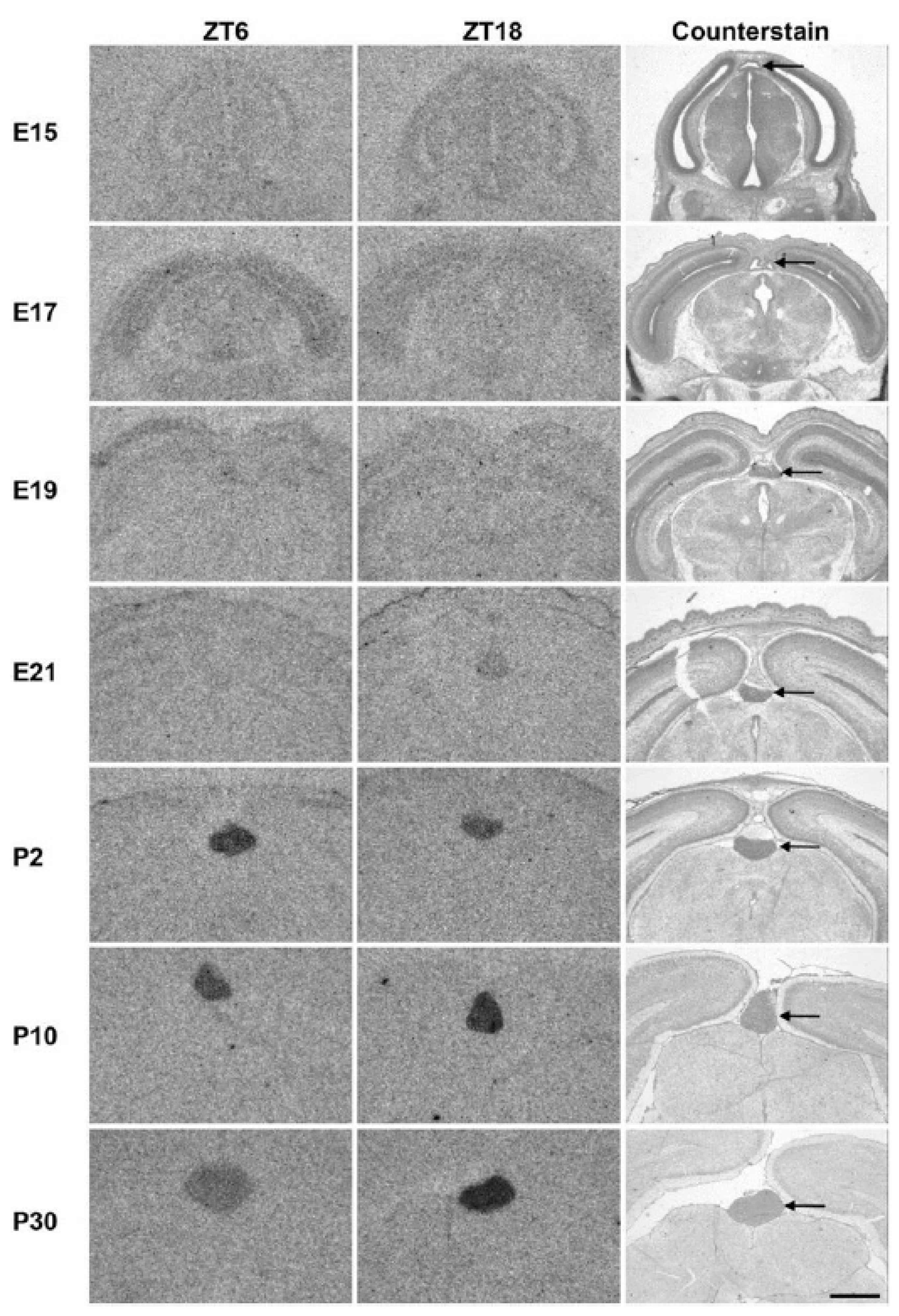 Children 11 01197 g005 Children 11 01197 g005