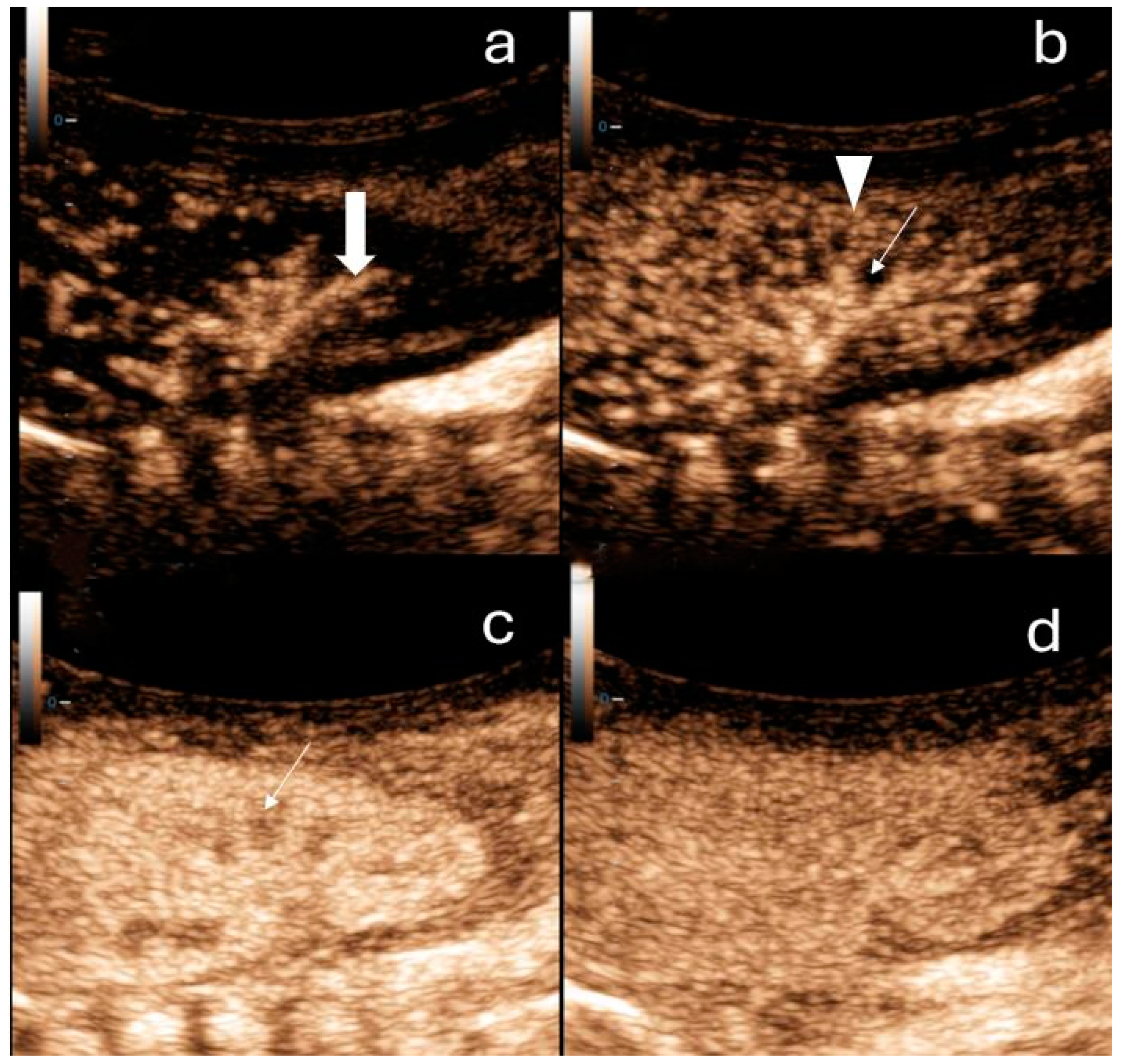 Children 11 01205 g001