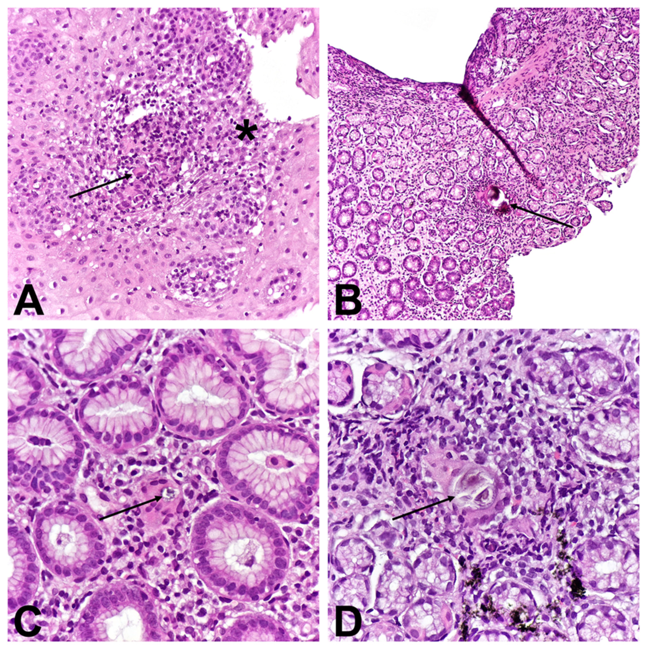 Children 11 01216 g002