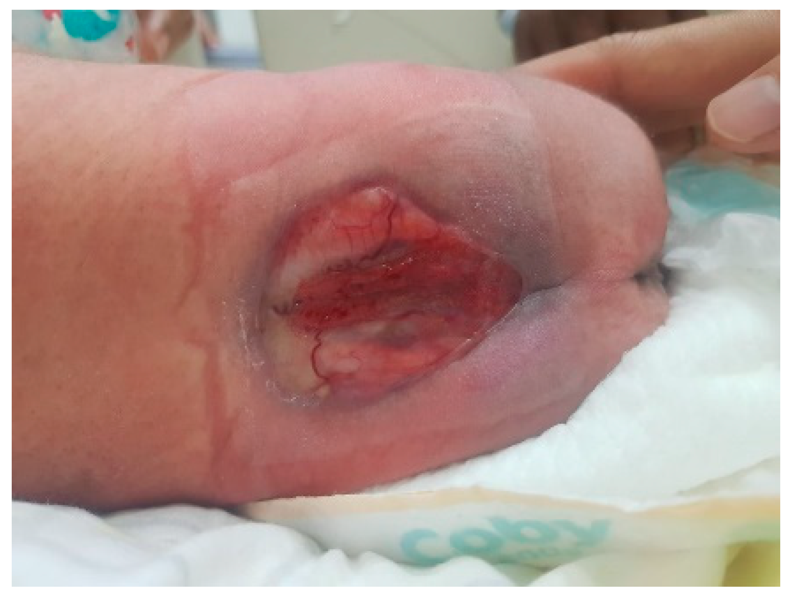 Children 11 01219 g005 Children 11 01219 g005