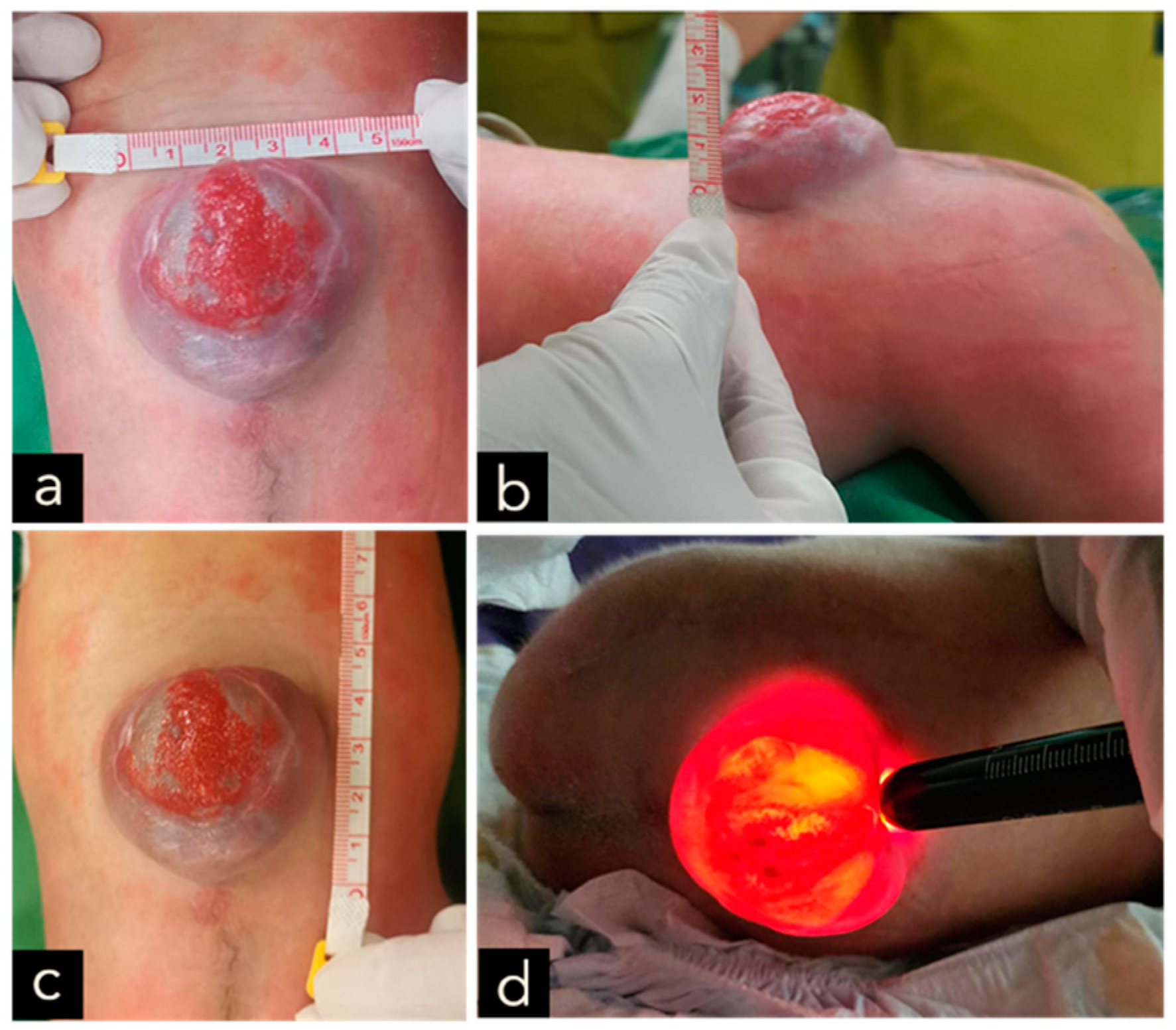 Children 11 01219 g008 Children 11 01219 g008