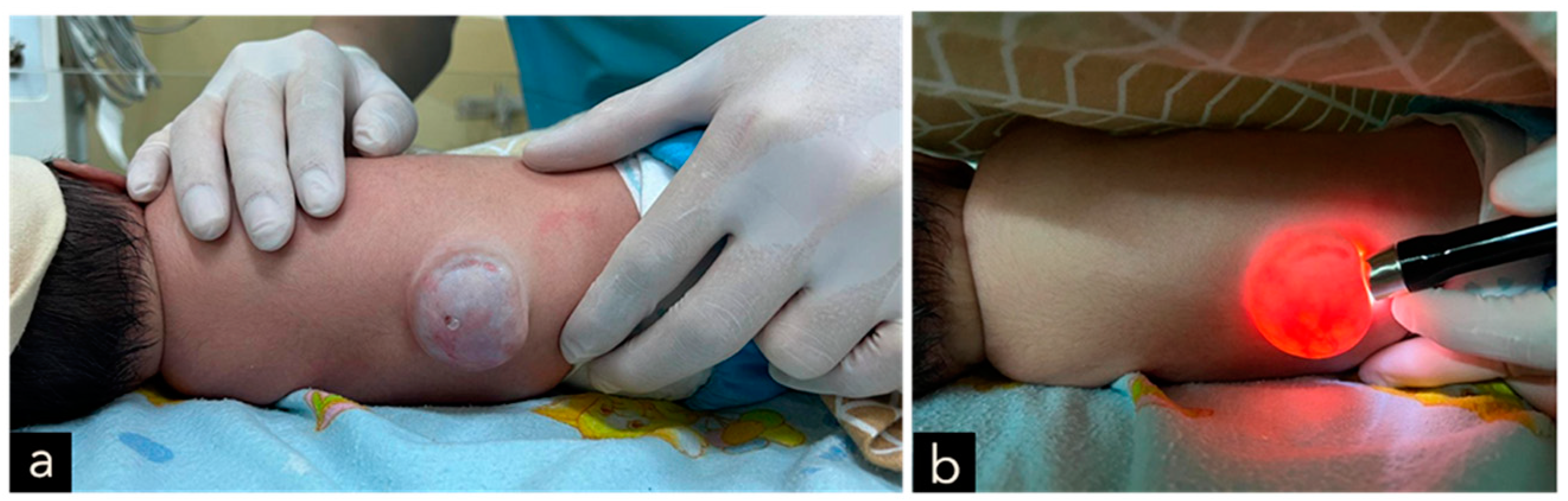 Children 11 01219 g010 Children 11 01219 g010