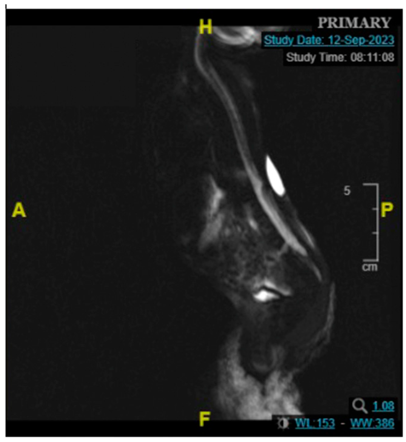 Children 11 01219 g011 Children 11 01219 g011