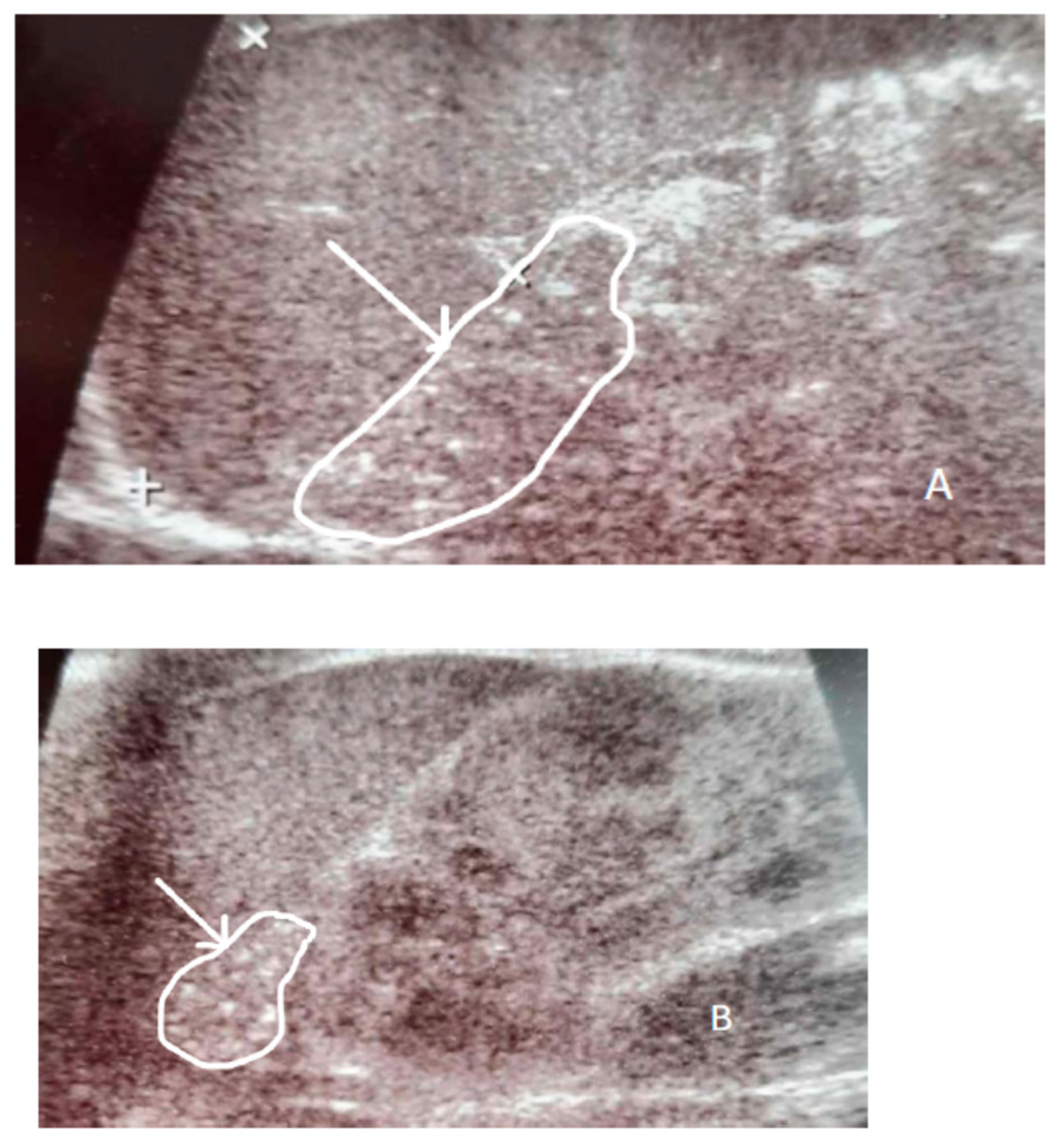 Children 11 01231 g001 Children 11 01231 g001