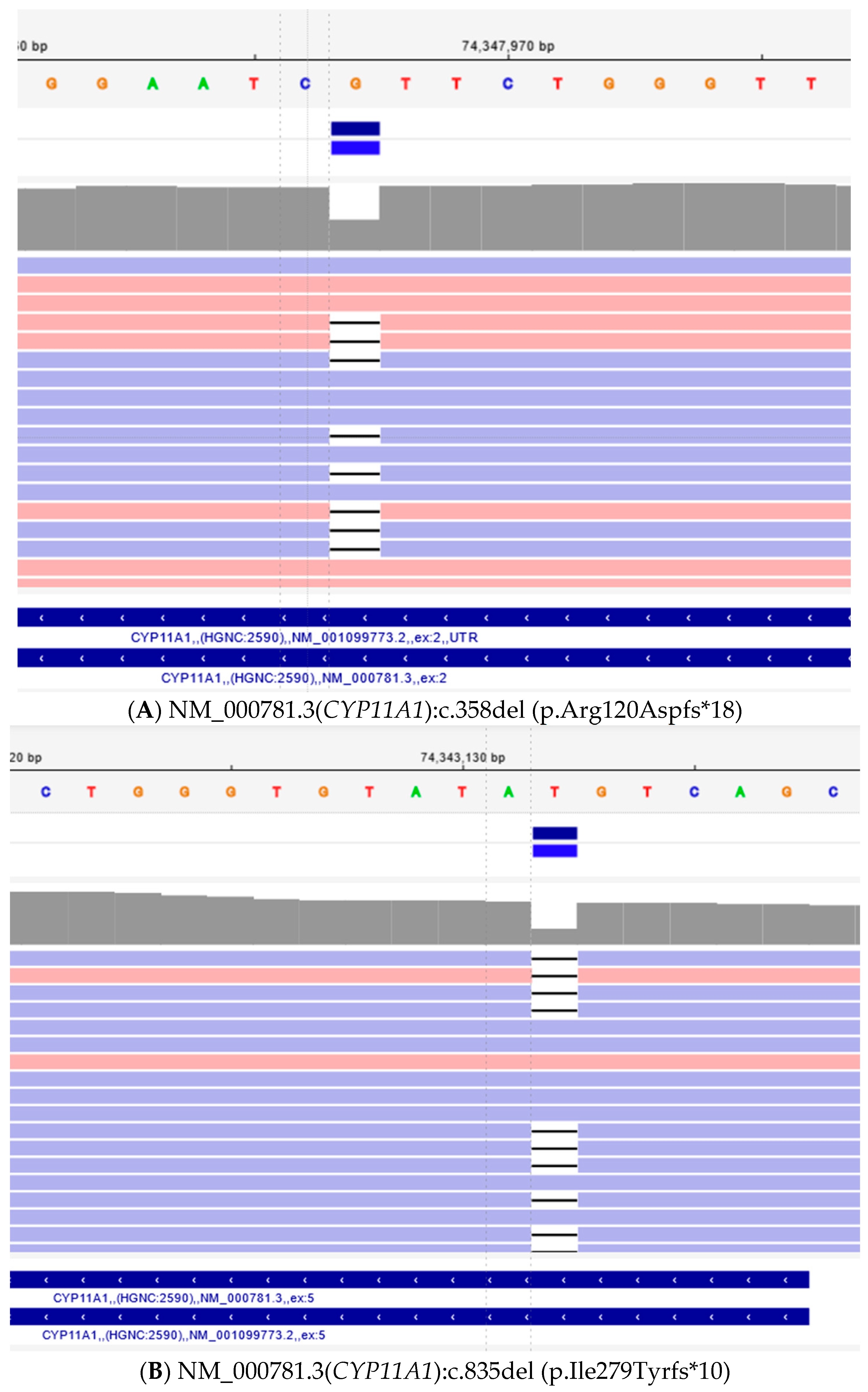 Children 11 01231 g003 Children 11 01231 g003