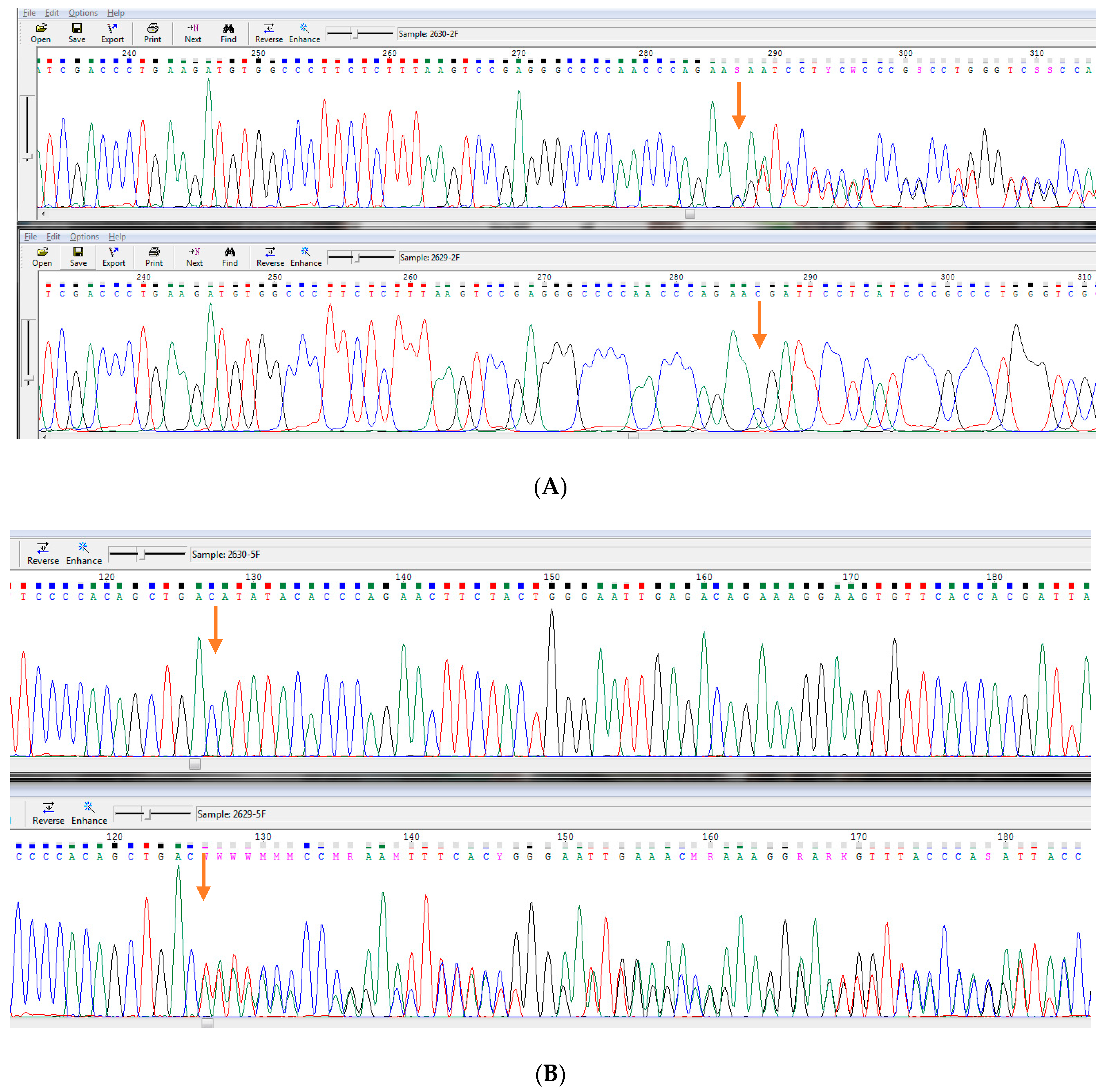 Children 11 01231 g004 Children 11 01231 g004