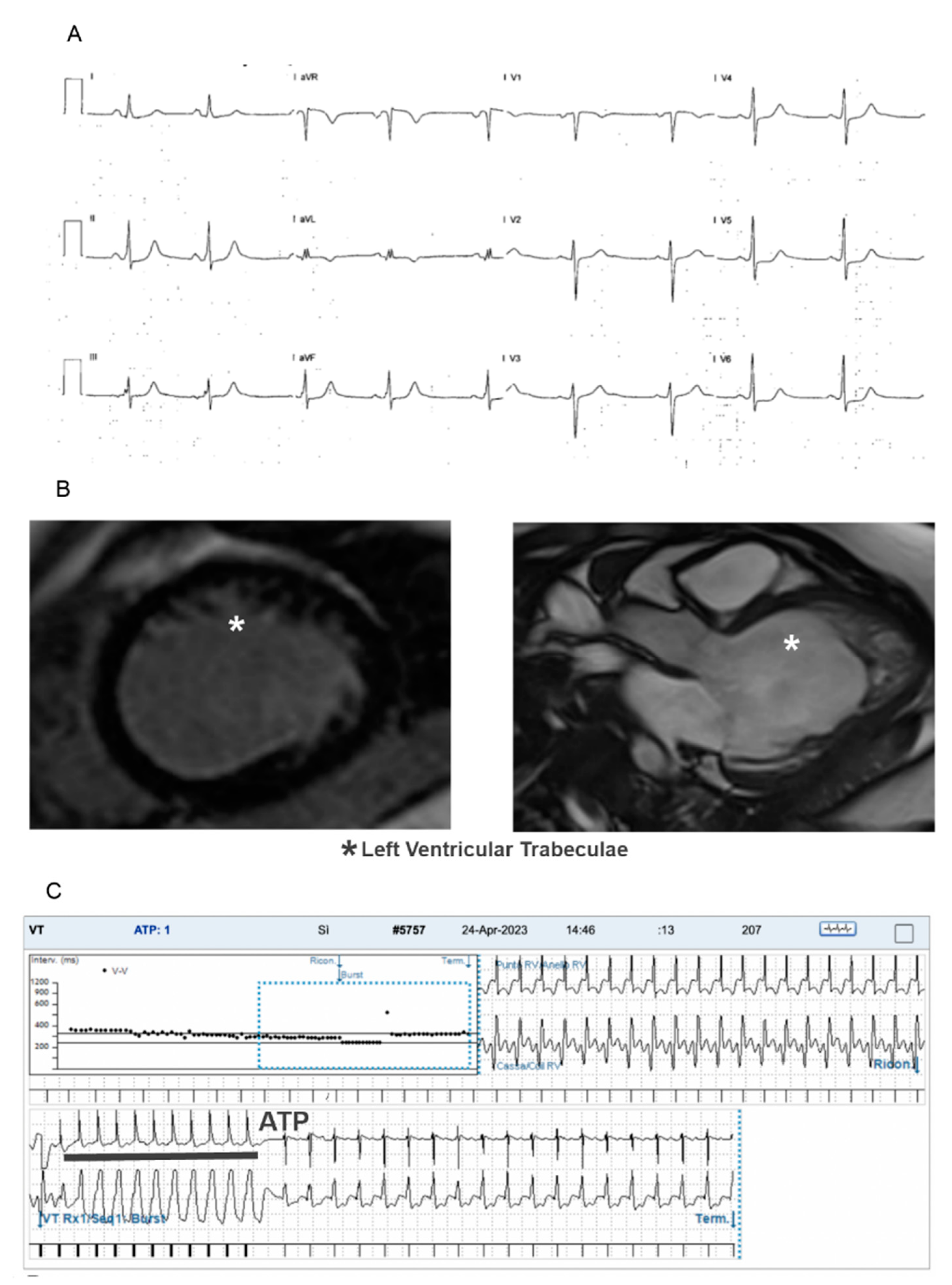 Children 11 01233 g001