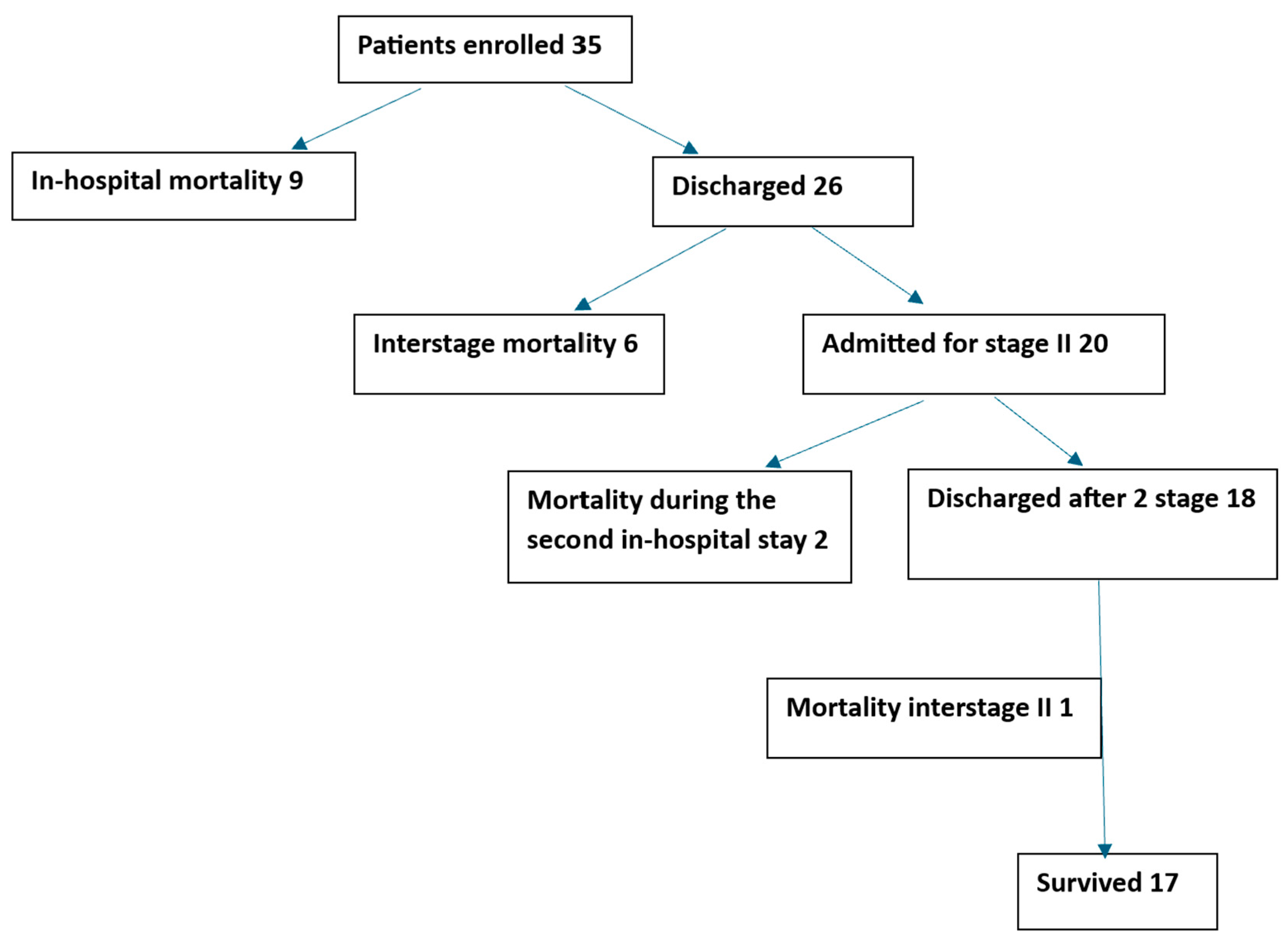 Children 11 01262 g001