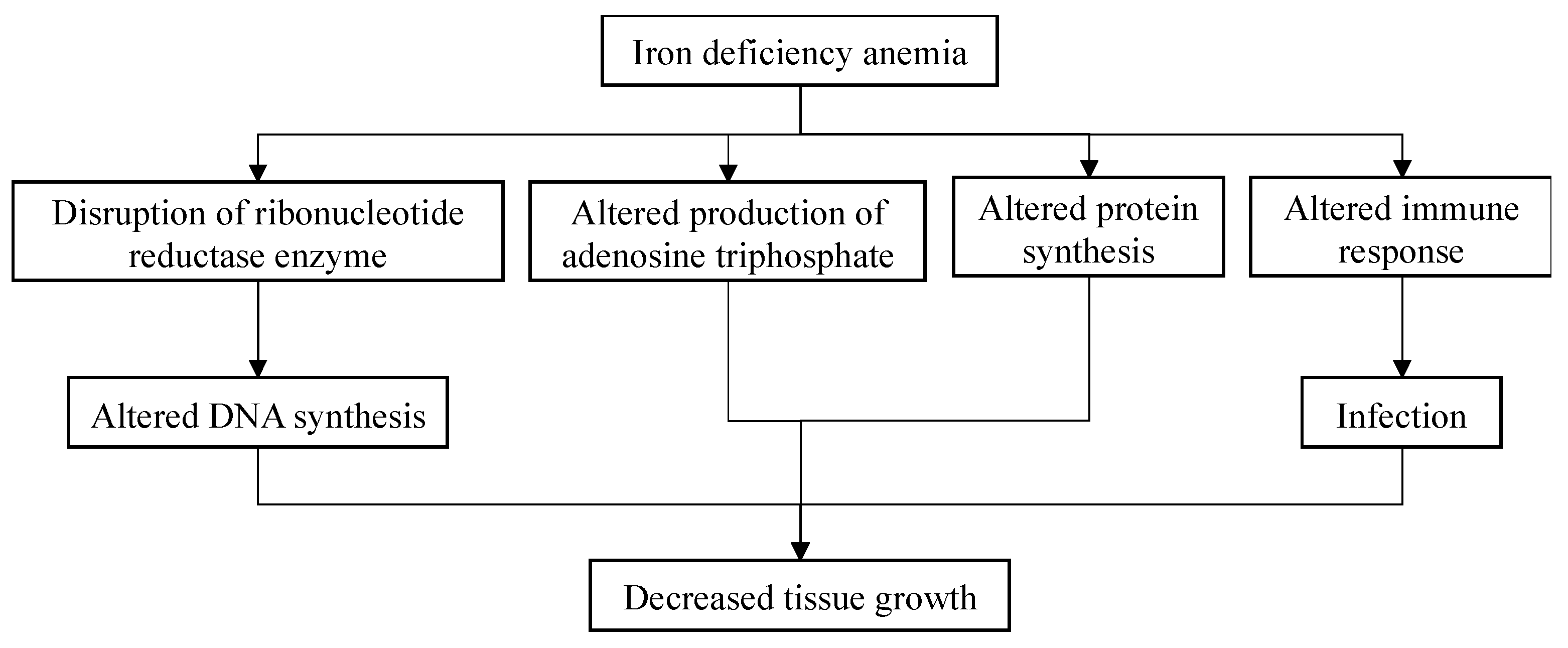 Children 11 01268 g005 Children 11 01268 g005