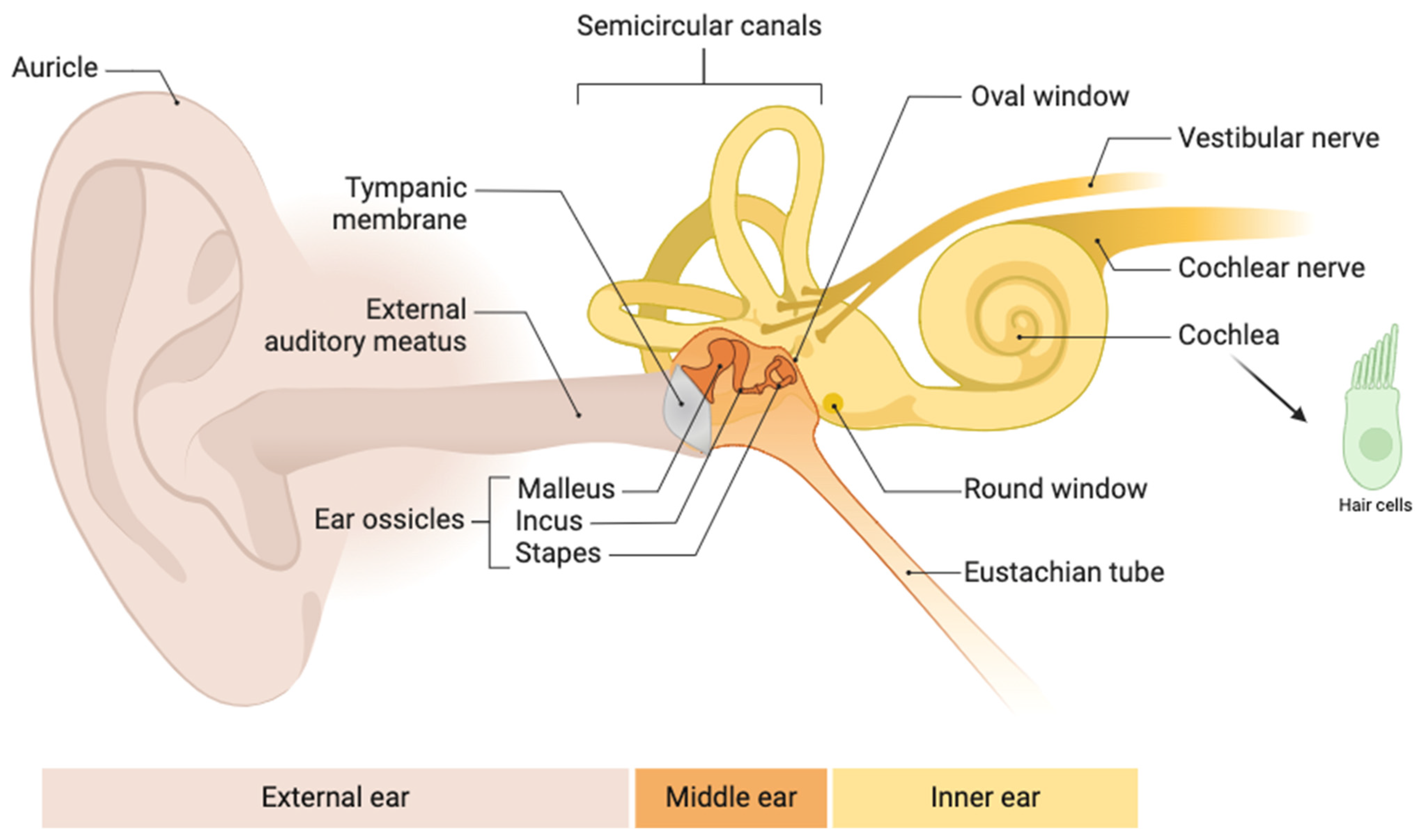 Children 11 01276 g001 Children 11 01276 g001