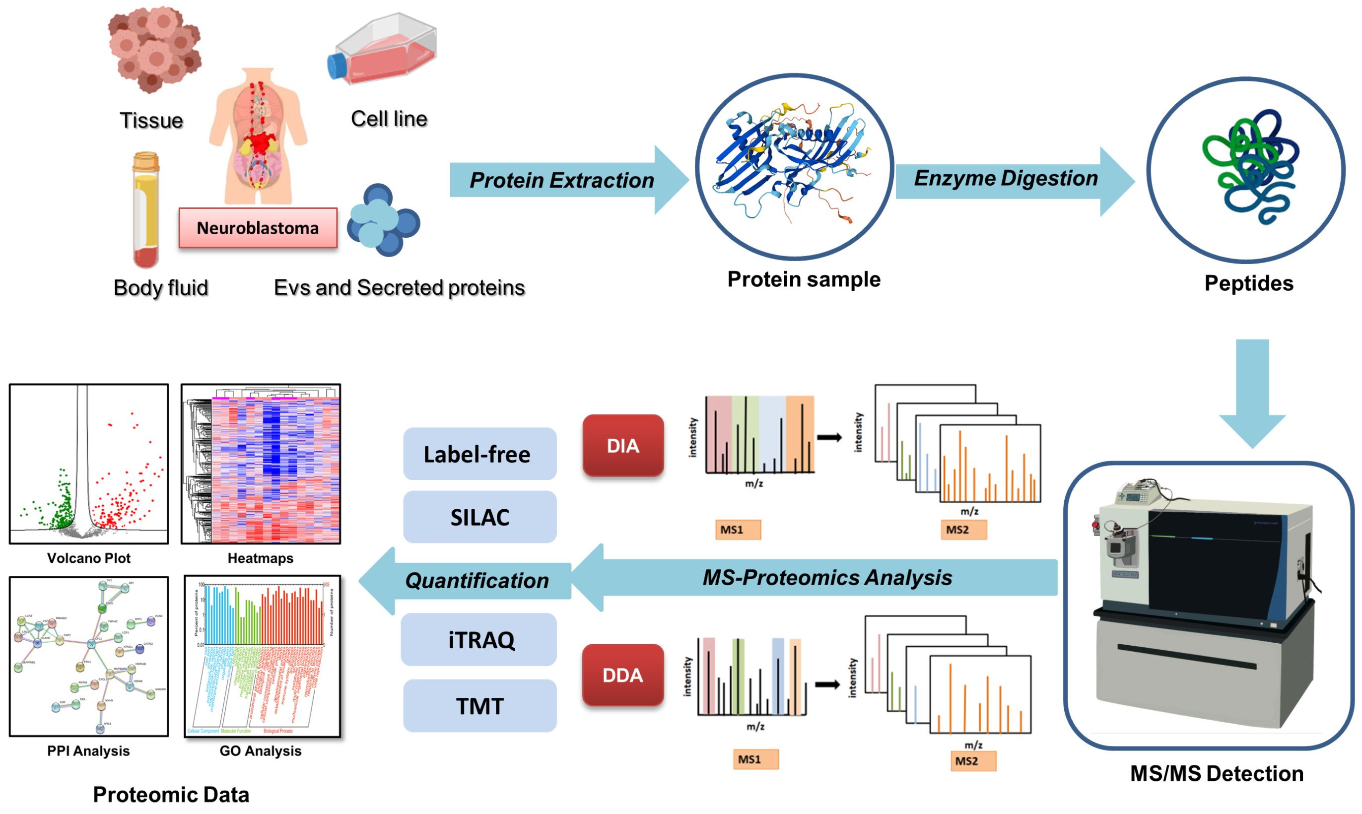 Children 11 01323 g001