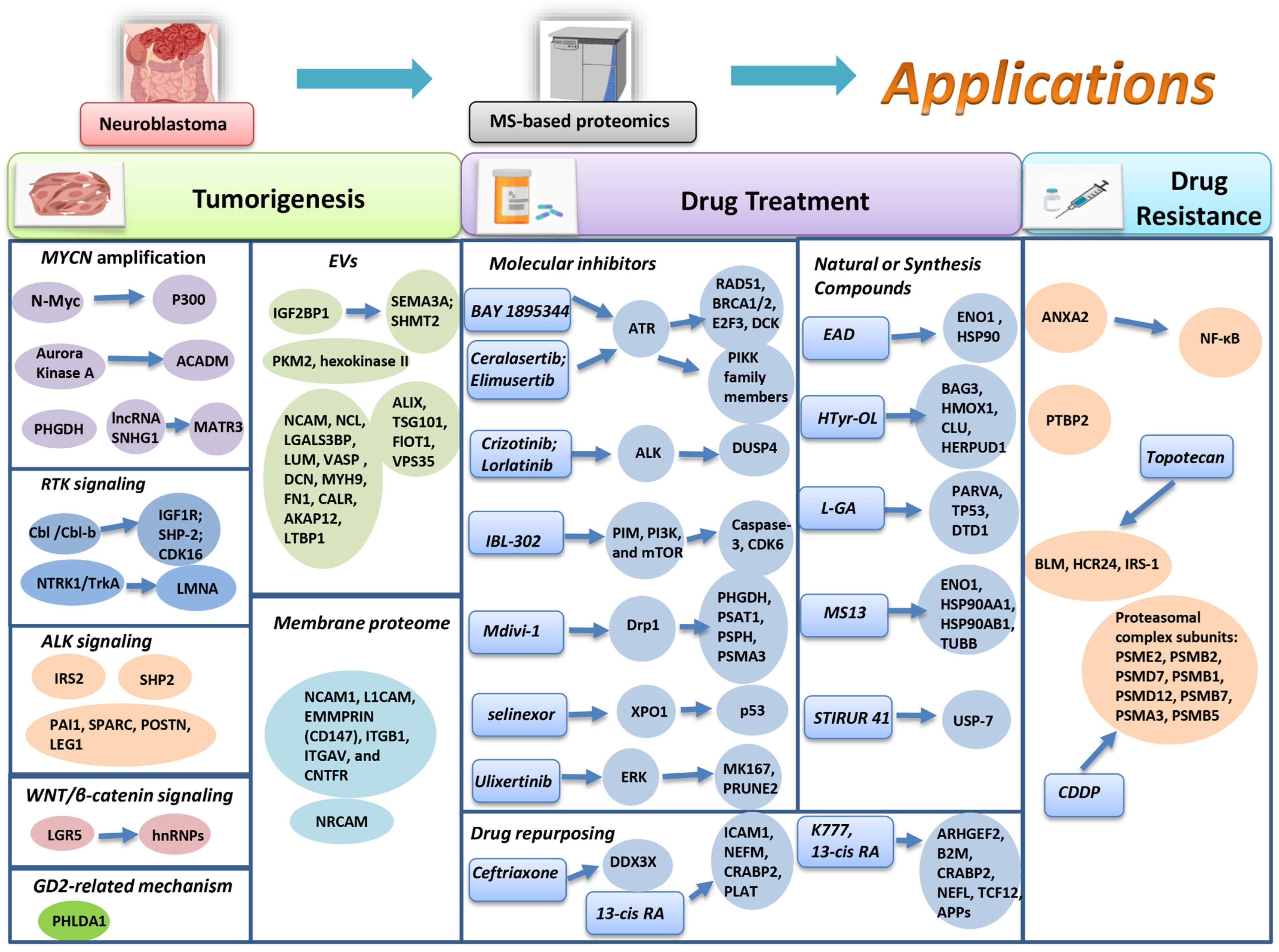 Children 11 01323 g002