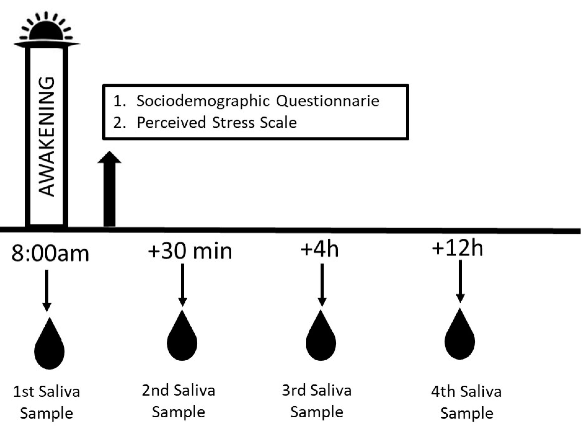 Children 11 01347 g001