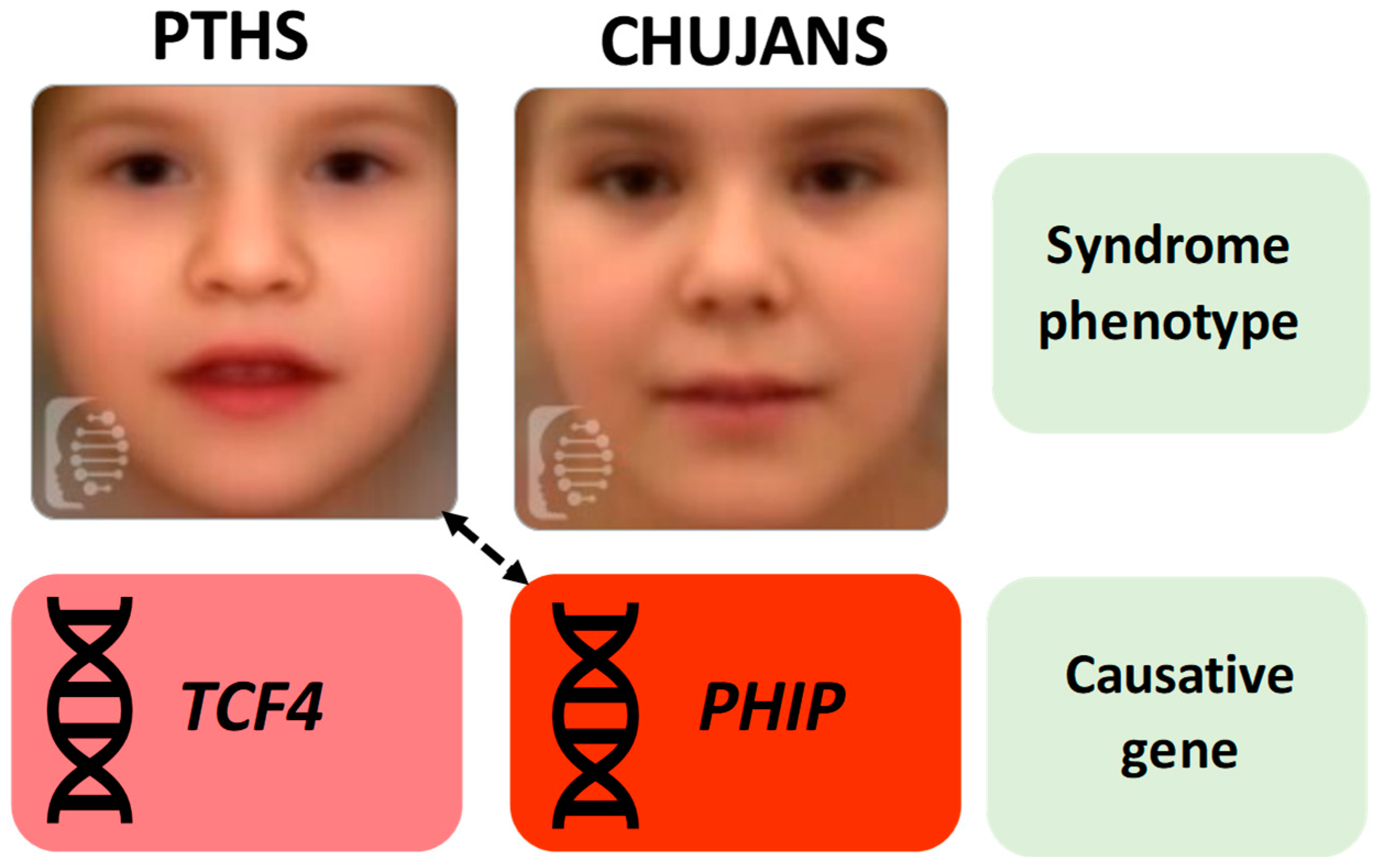 Children 11 01395 g001