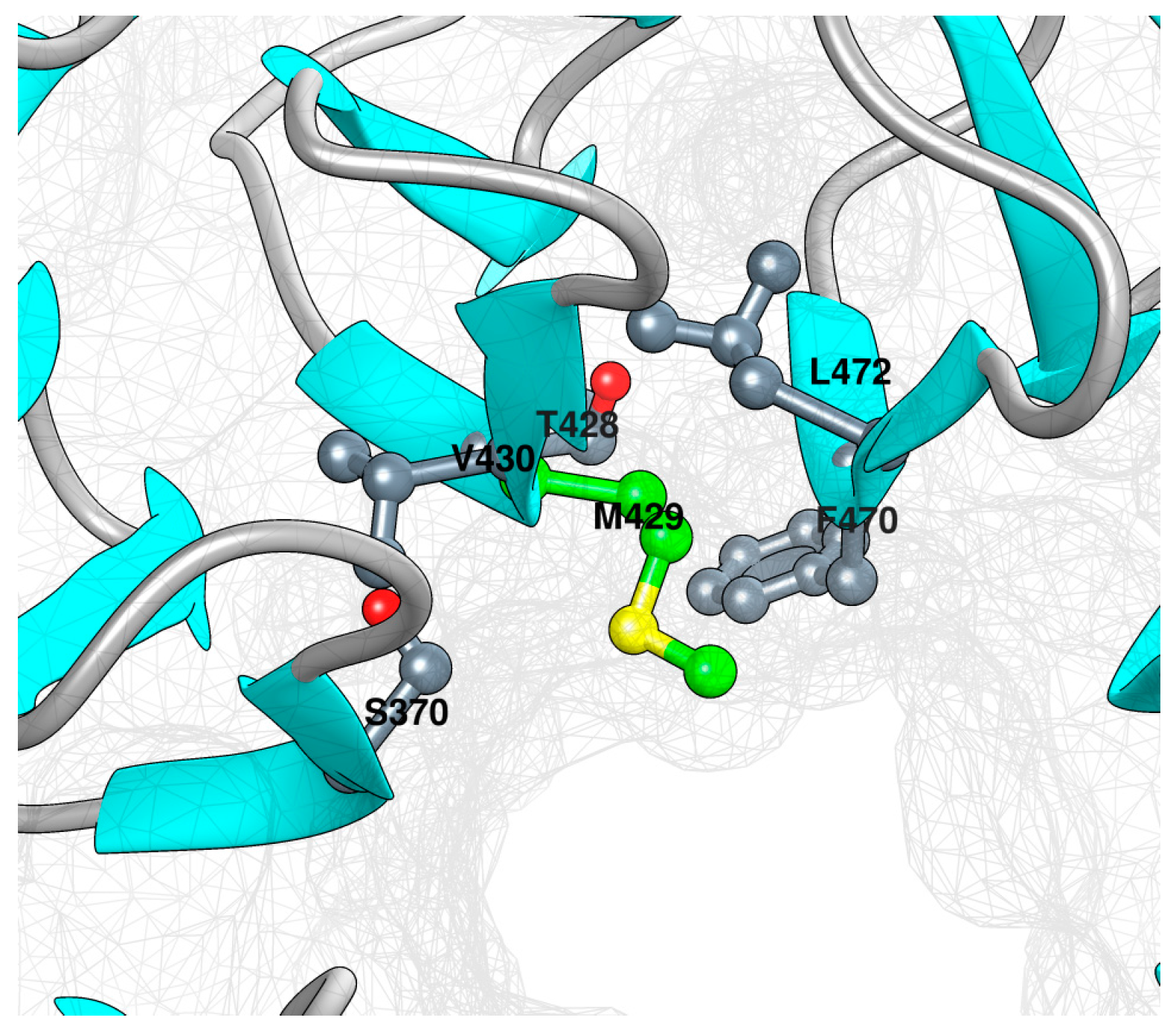 Children 11 01395 g003