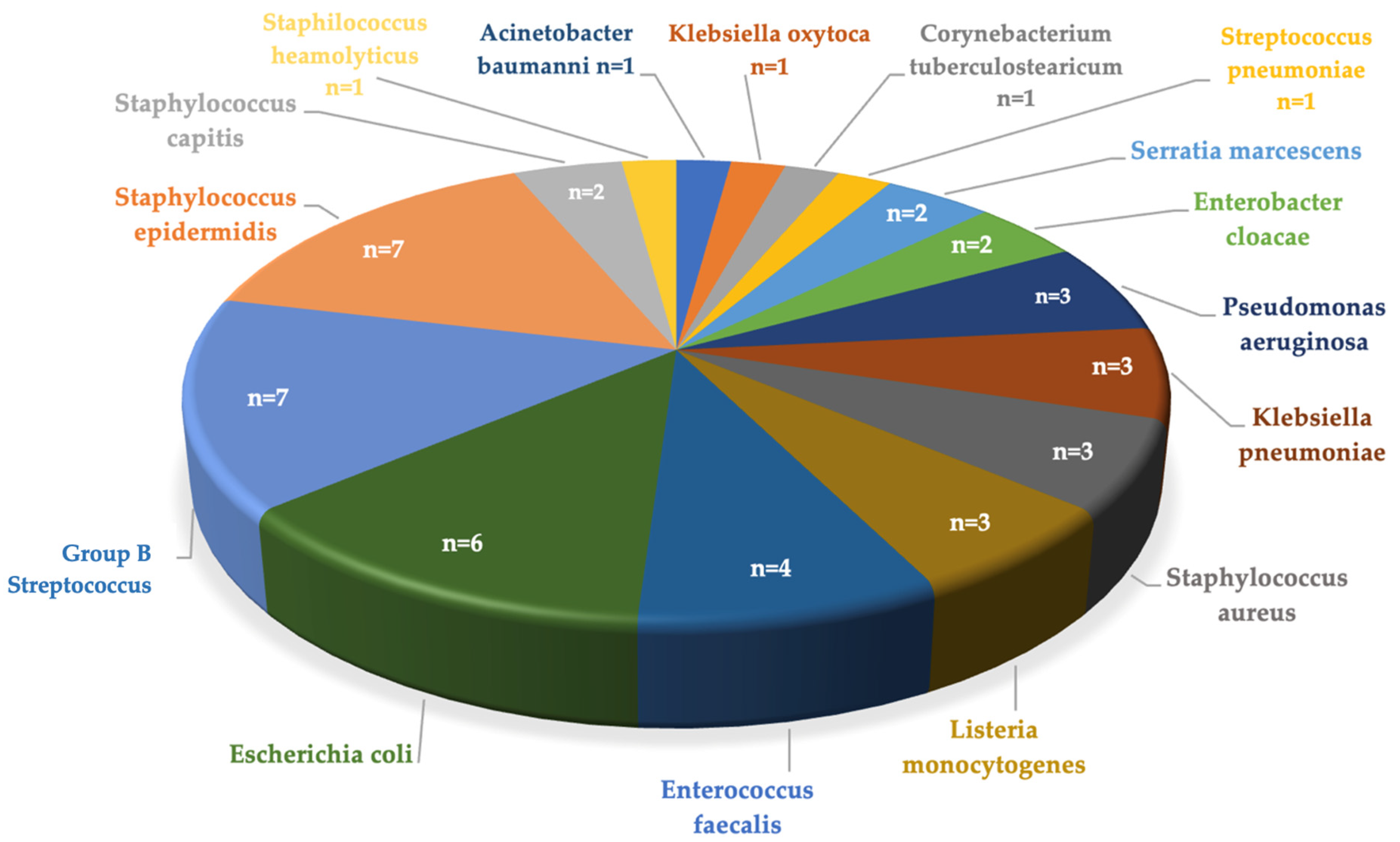Children 11 01411 g002 Children 11 01411 g002