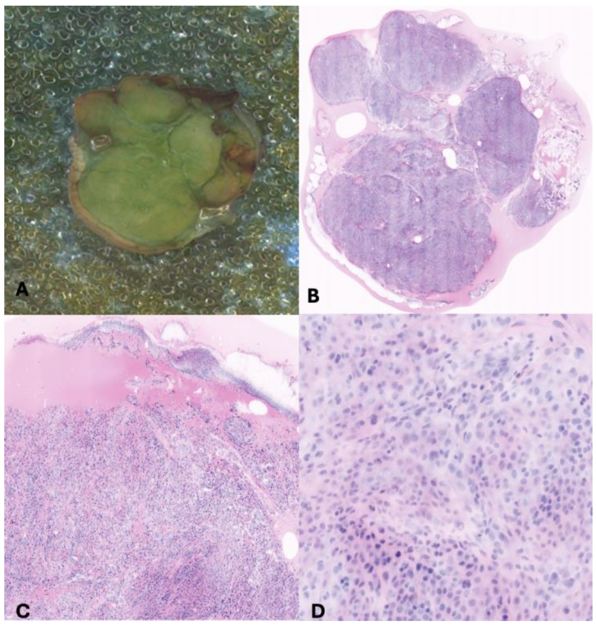 Children 11 01417 g001