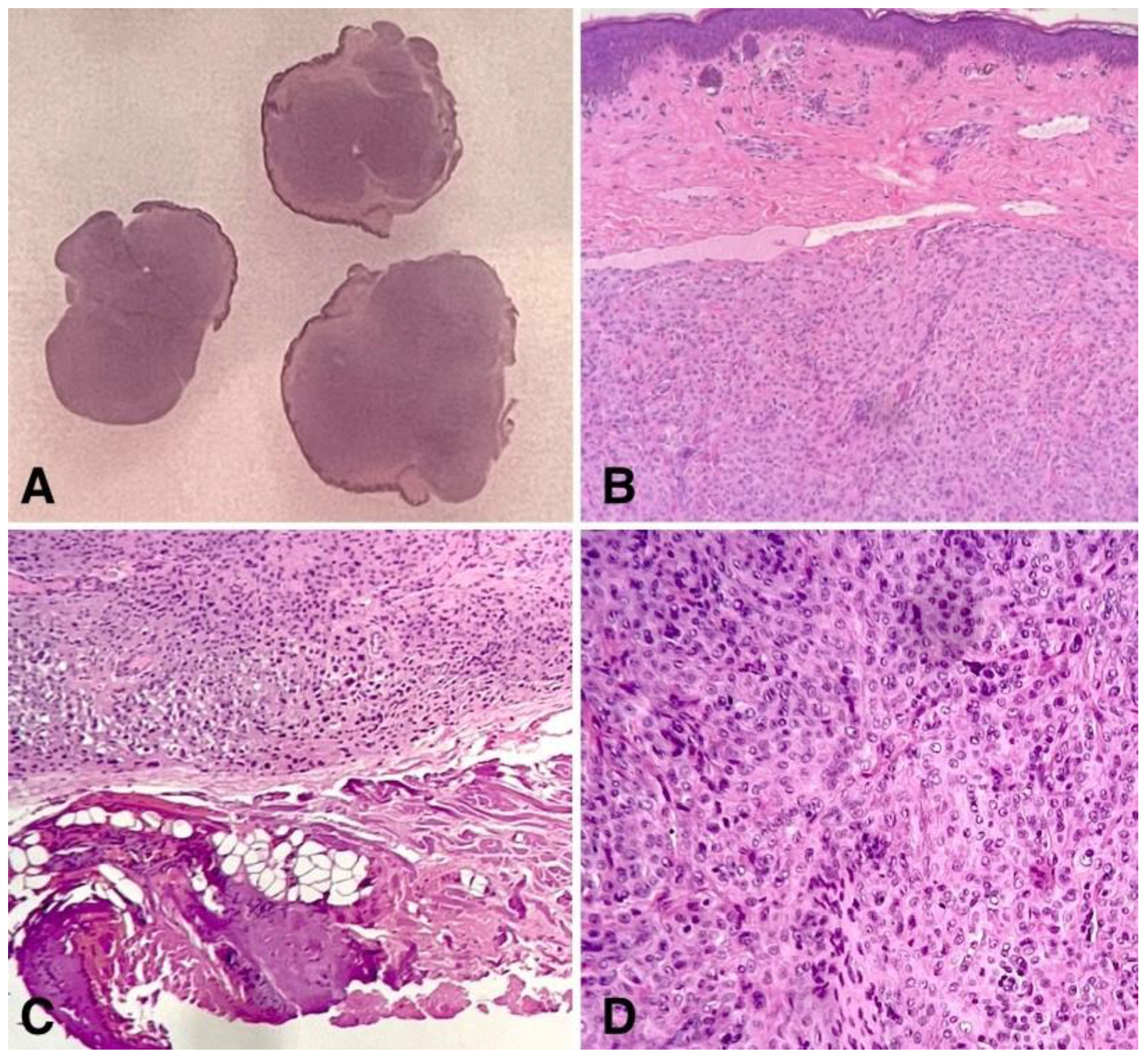 Children 11 01417 g002