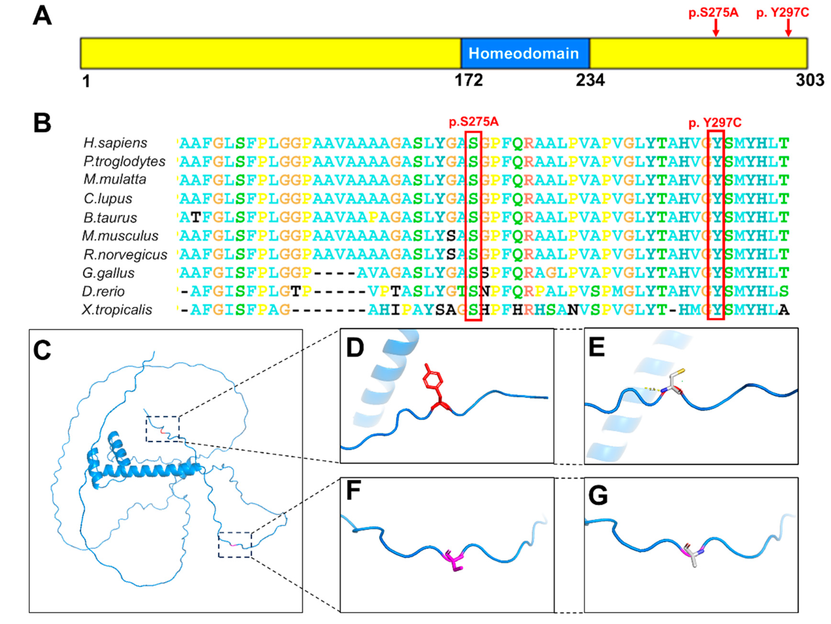 Children 11 01418 g002