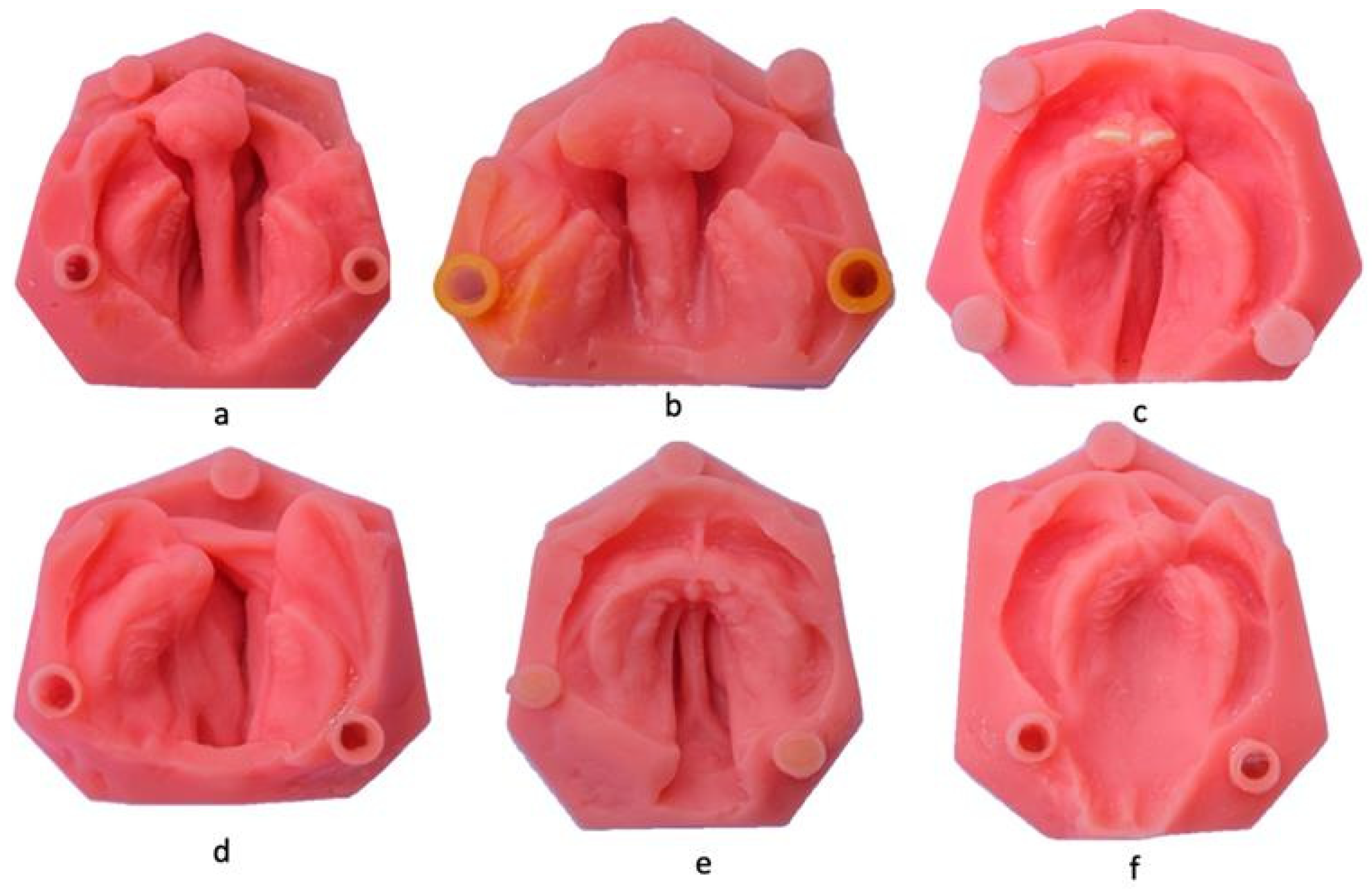 Children 11 01435 g001