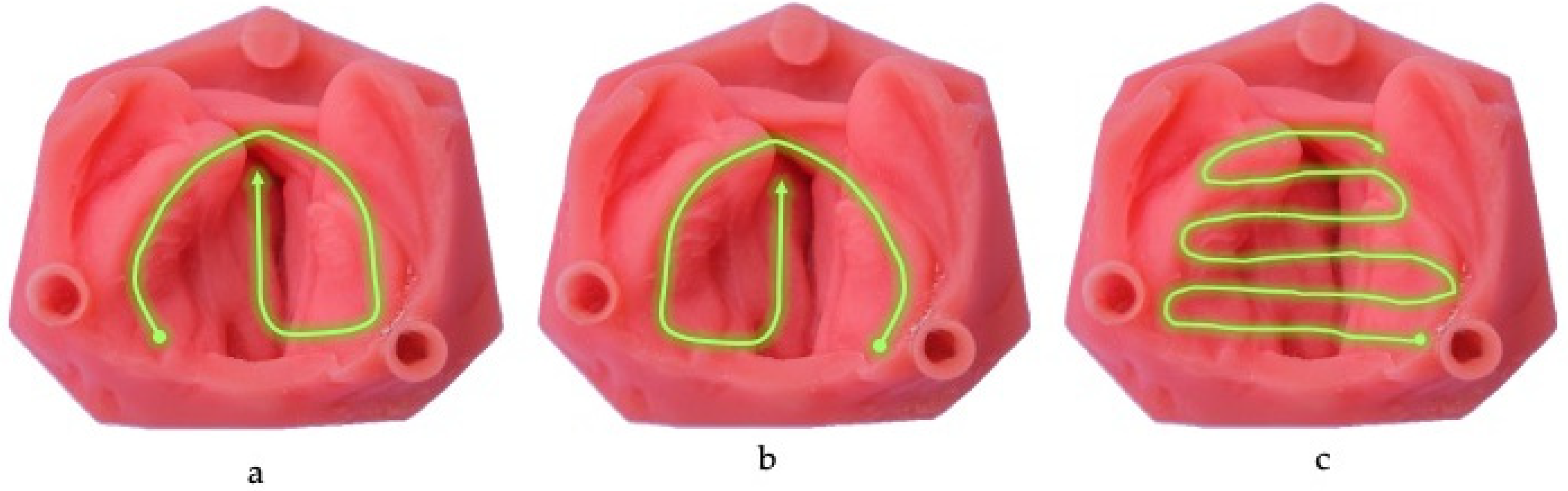 Children 11 01435 g003