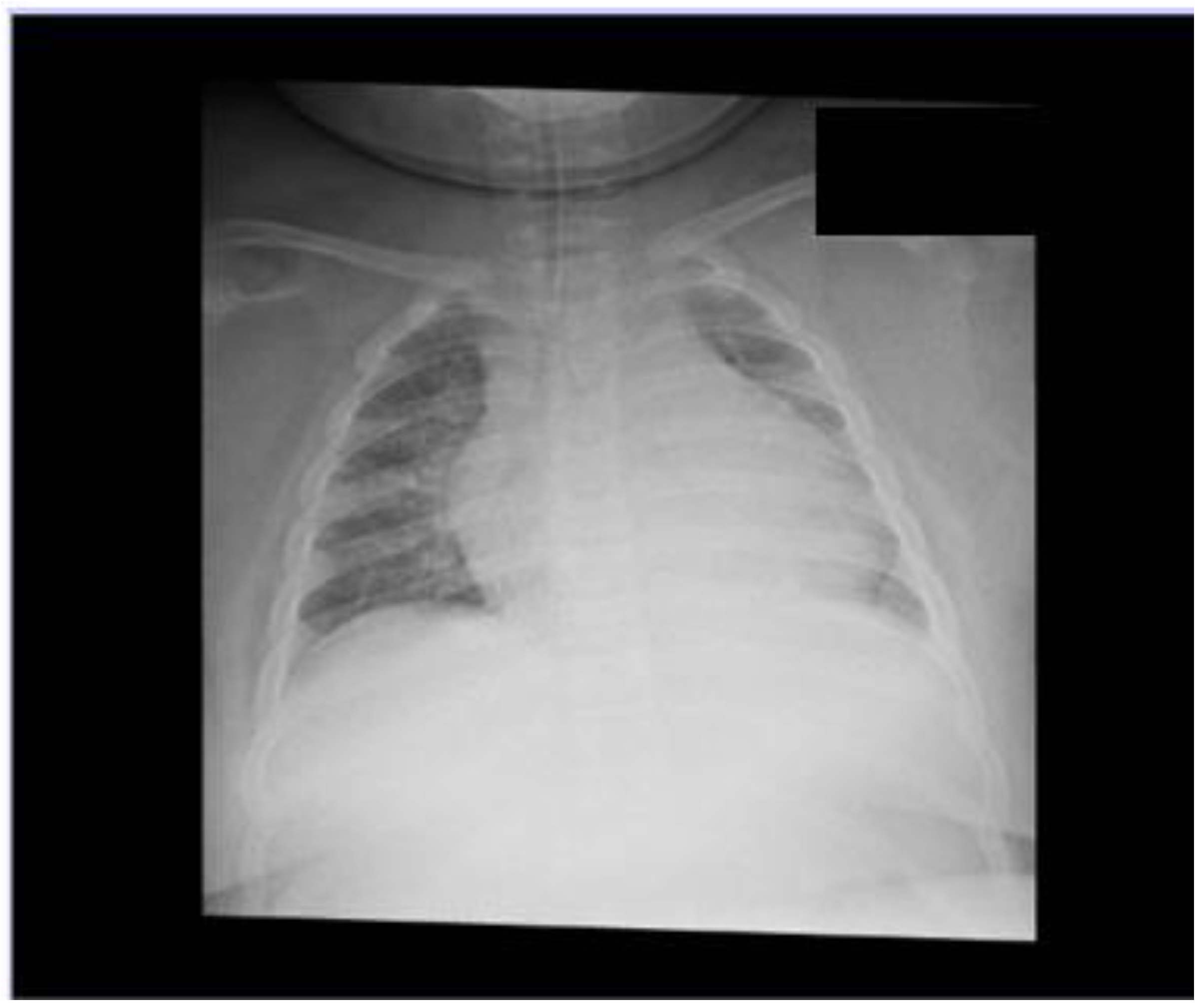 Children 11 01509 g001