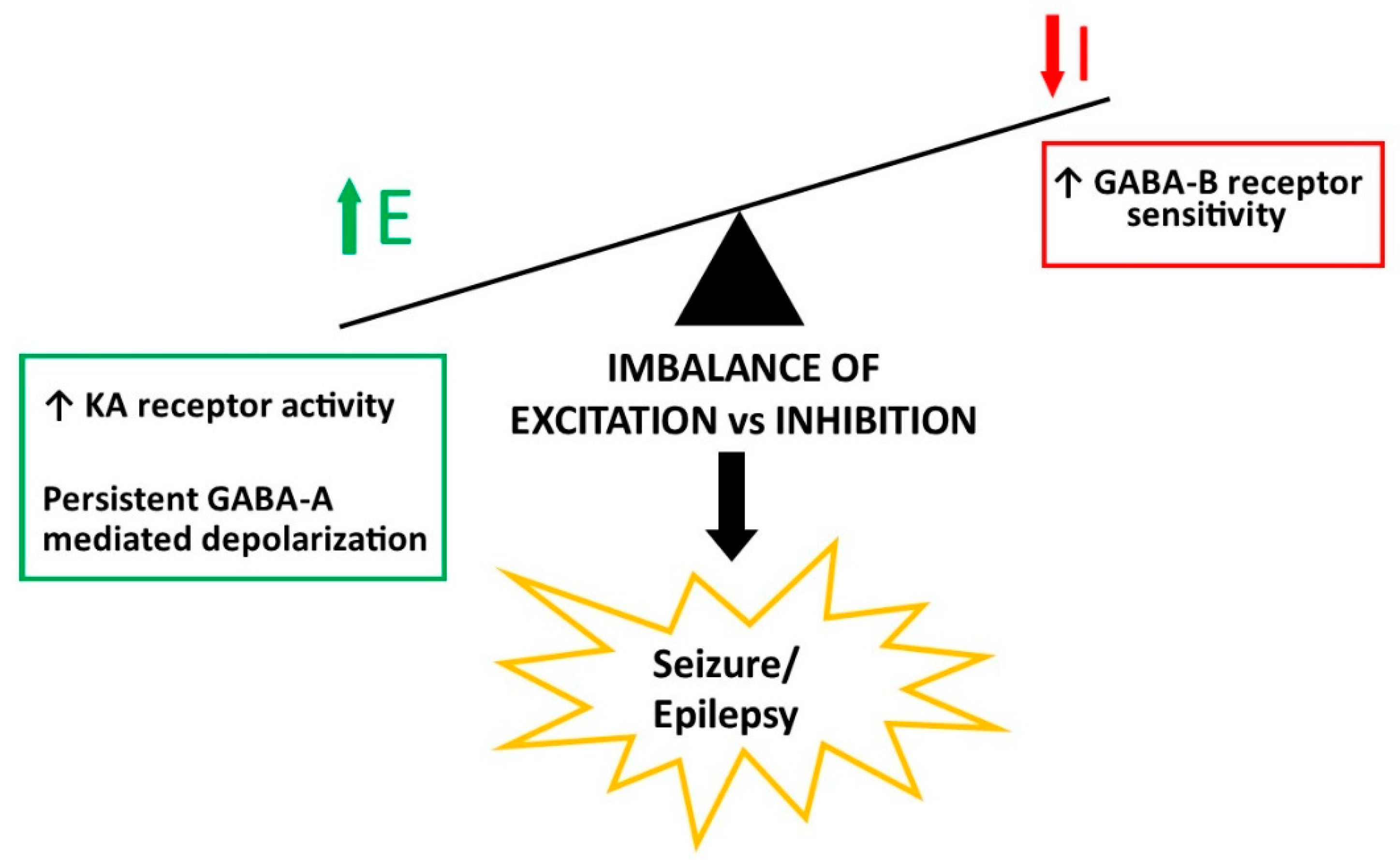 Children 11 01513 g002