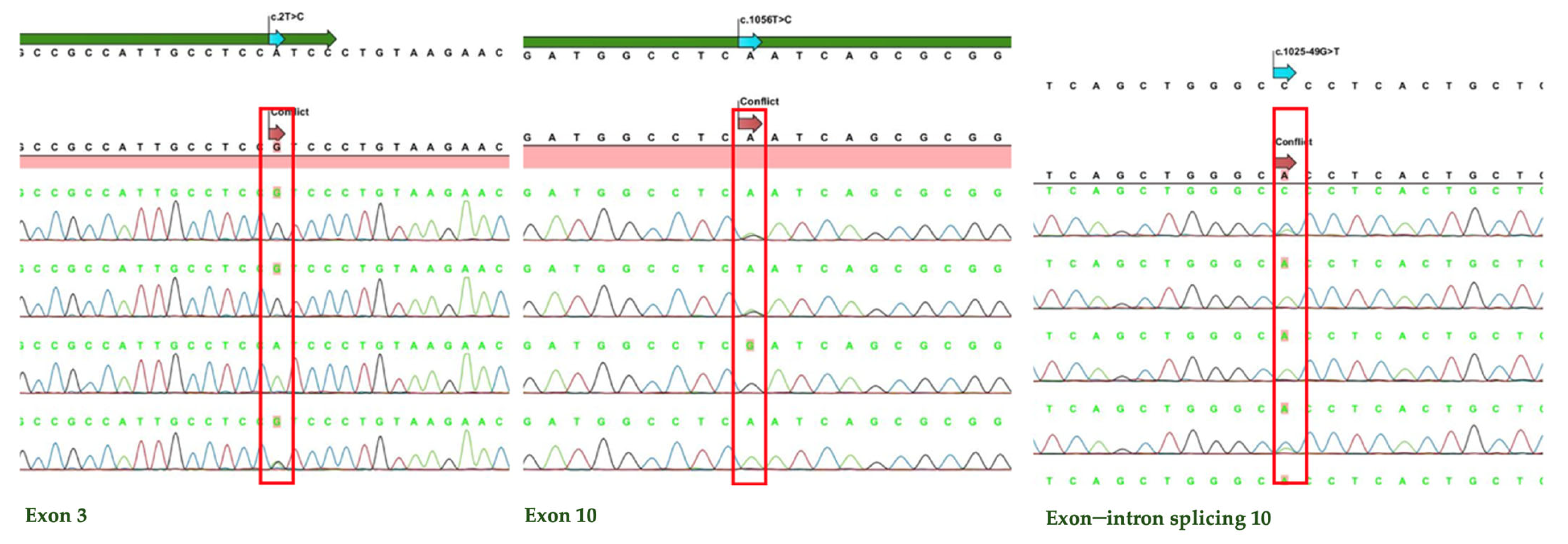 Children 12 00007 g001 Children 12 00007 g001