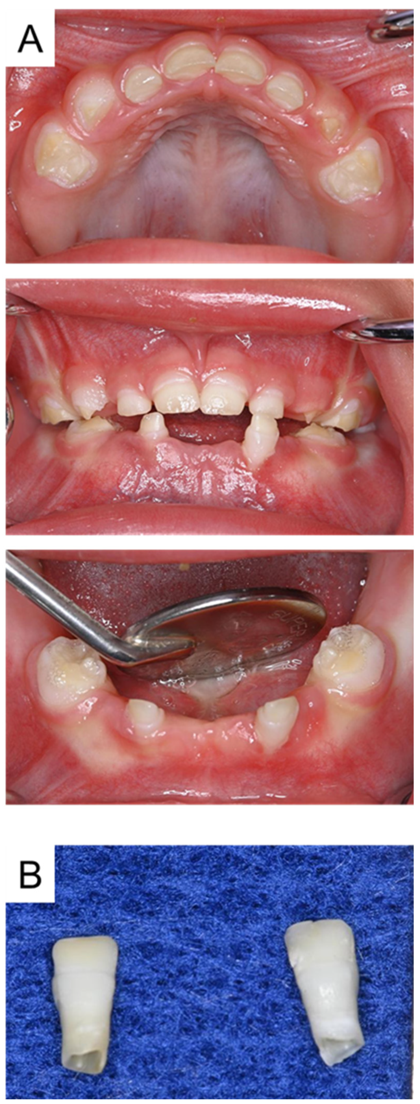 Children 12 00061 g001