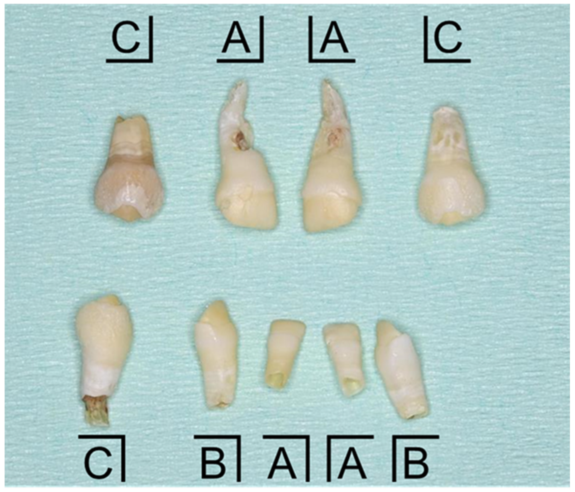 Children 12 00061 g004