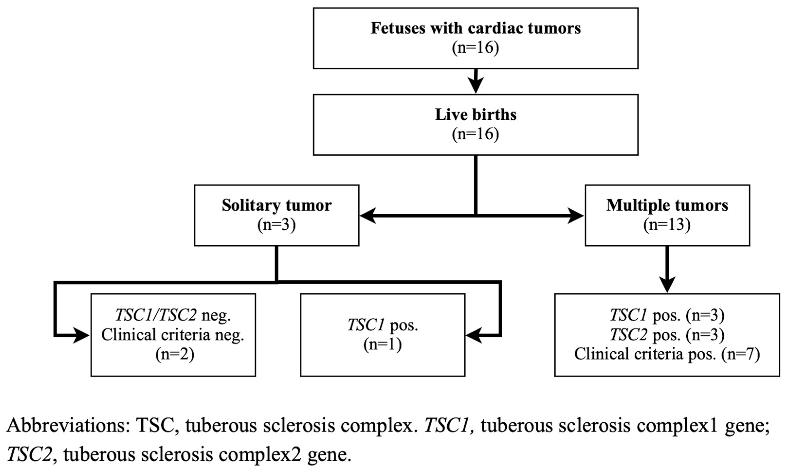 Children 12 00094 g001