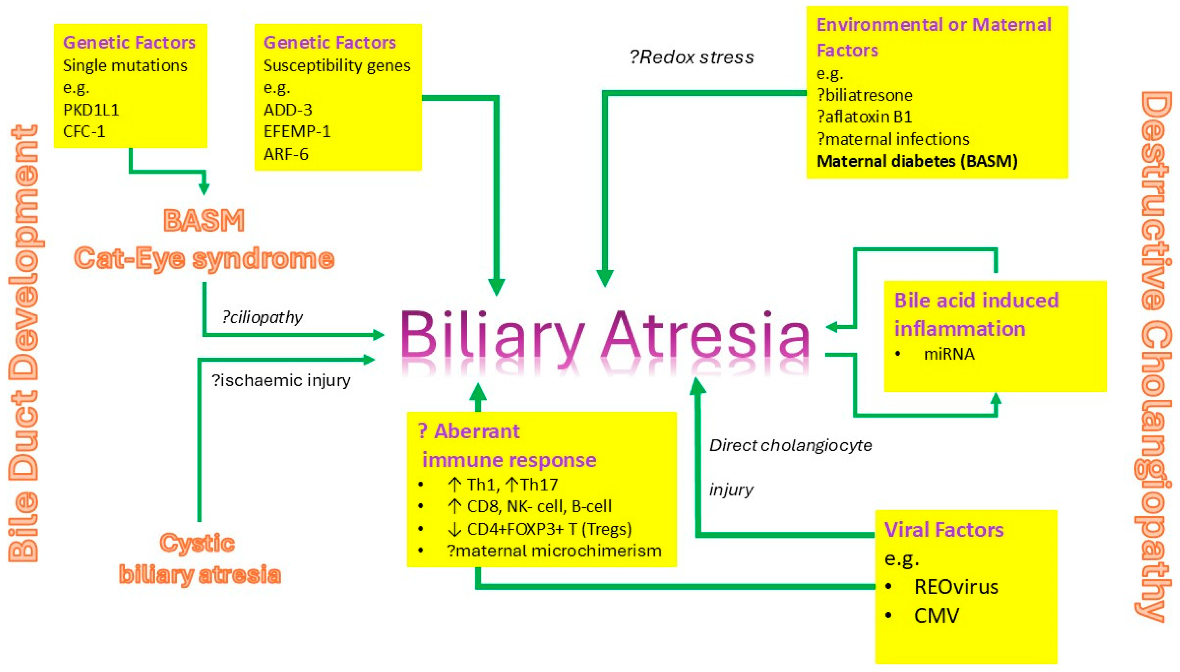 Children 12 00095 g001