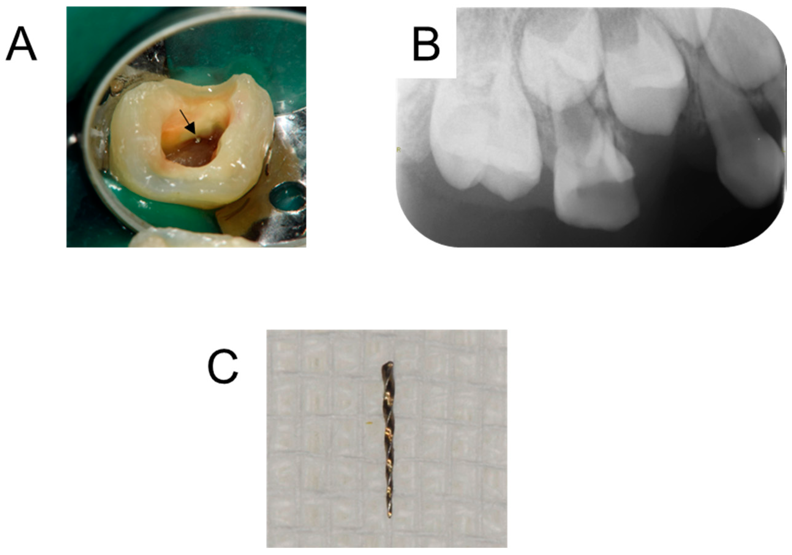 Children 12 00149 g002