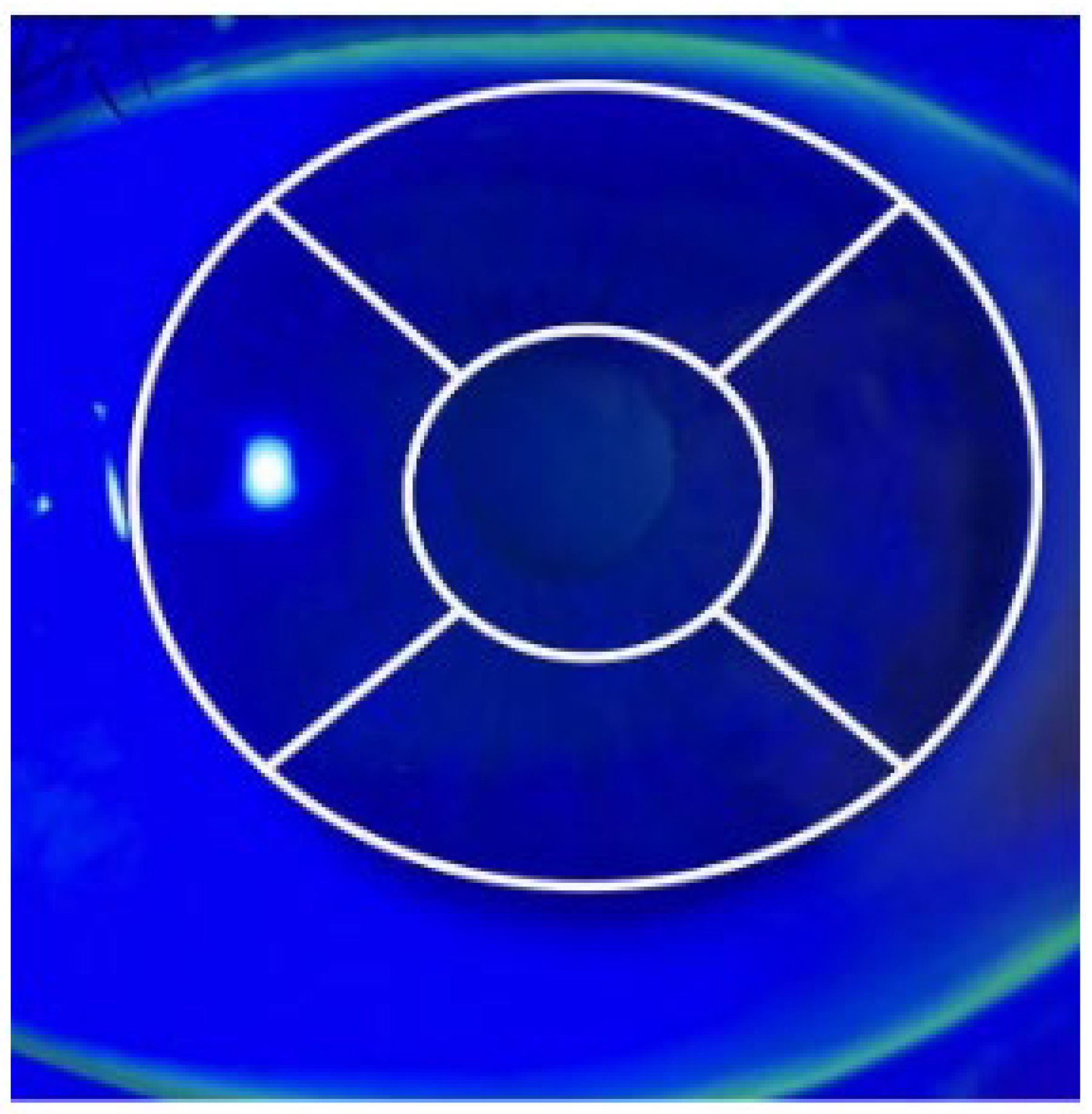 Children 12 00150 g001