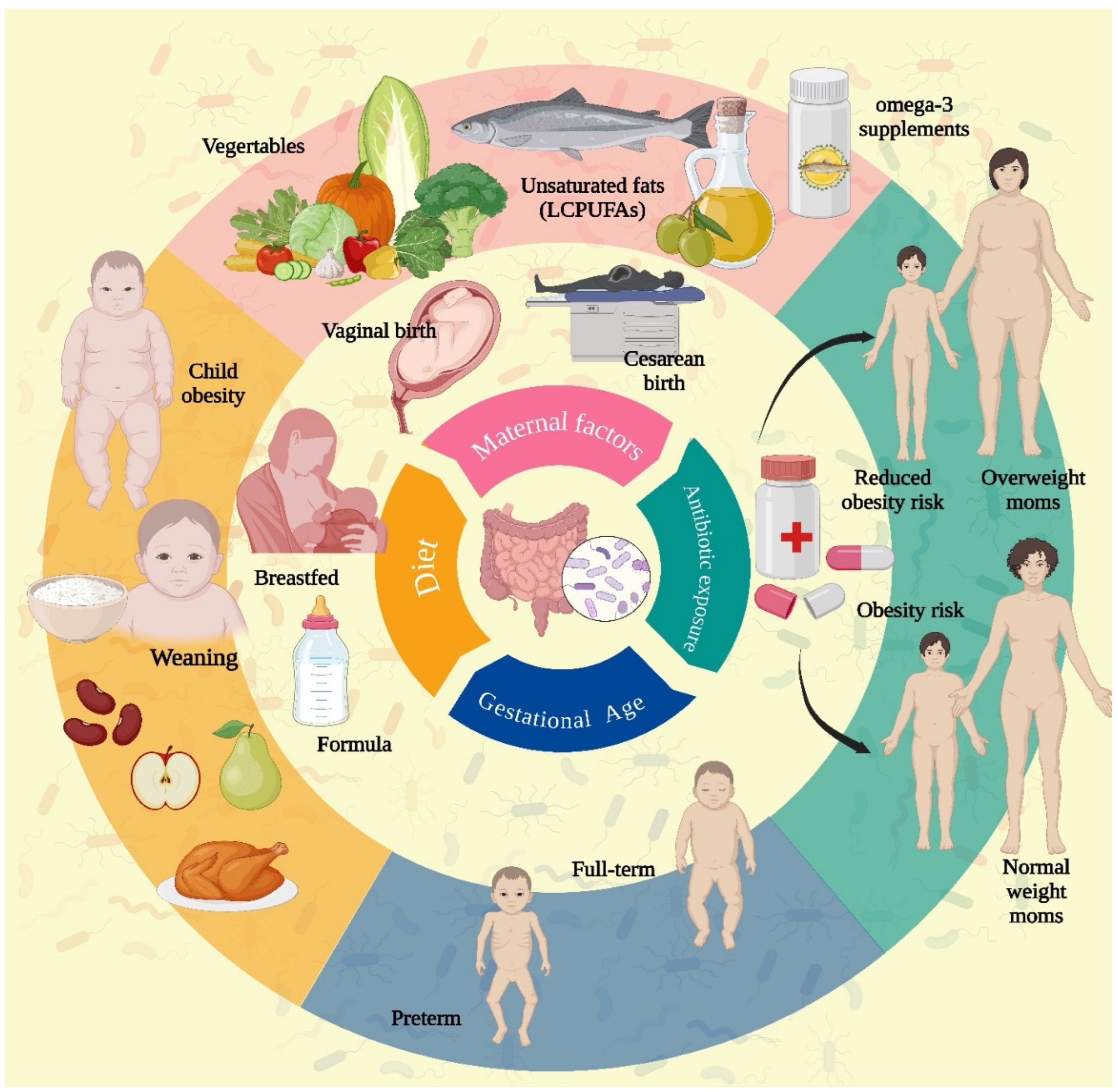 Children 12 00166 g001