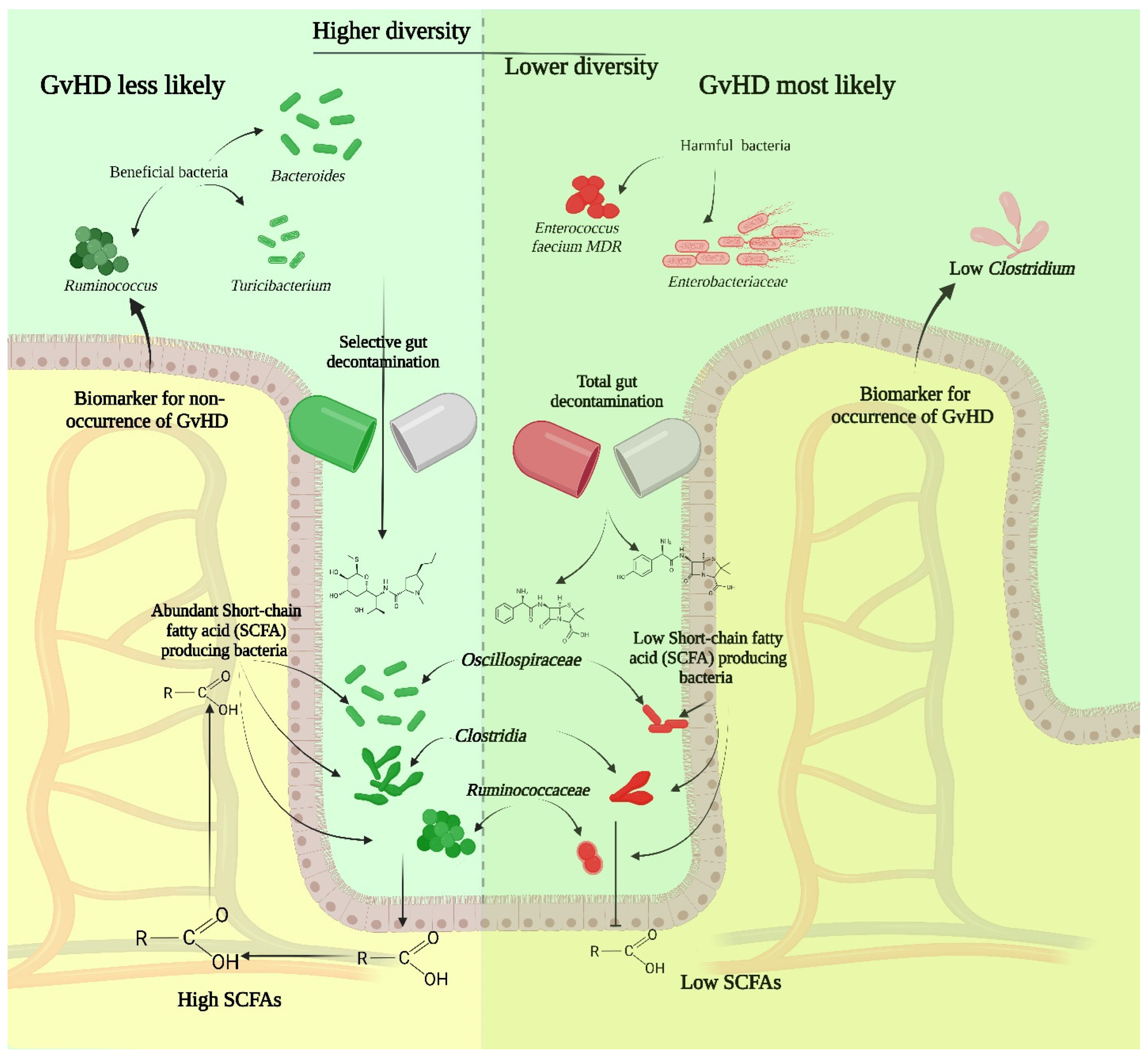 Children 12 00166 g003