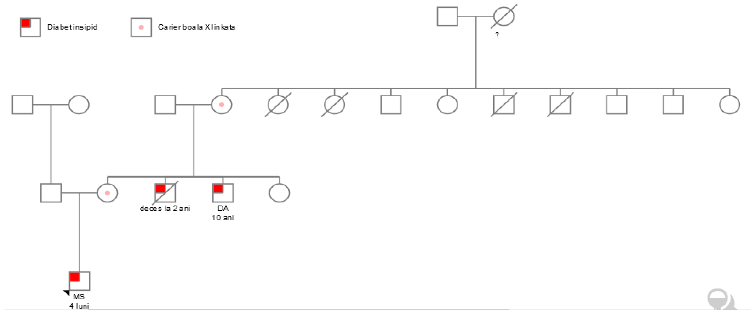 Children 12 00195 g001 Children 12 00195 g001
