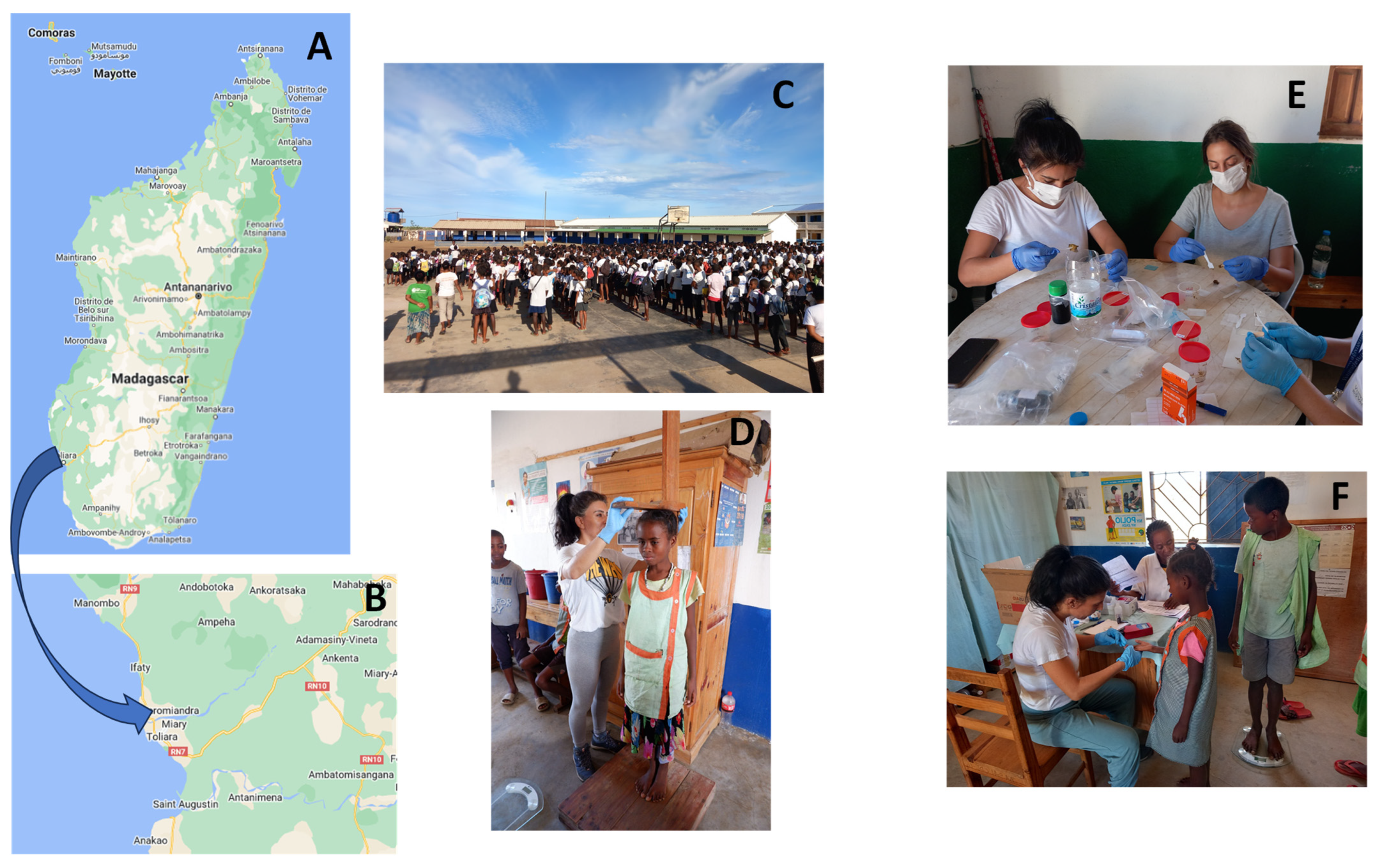 Children 12 00225 g001