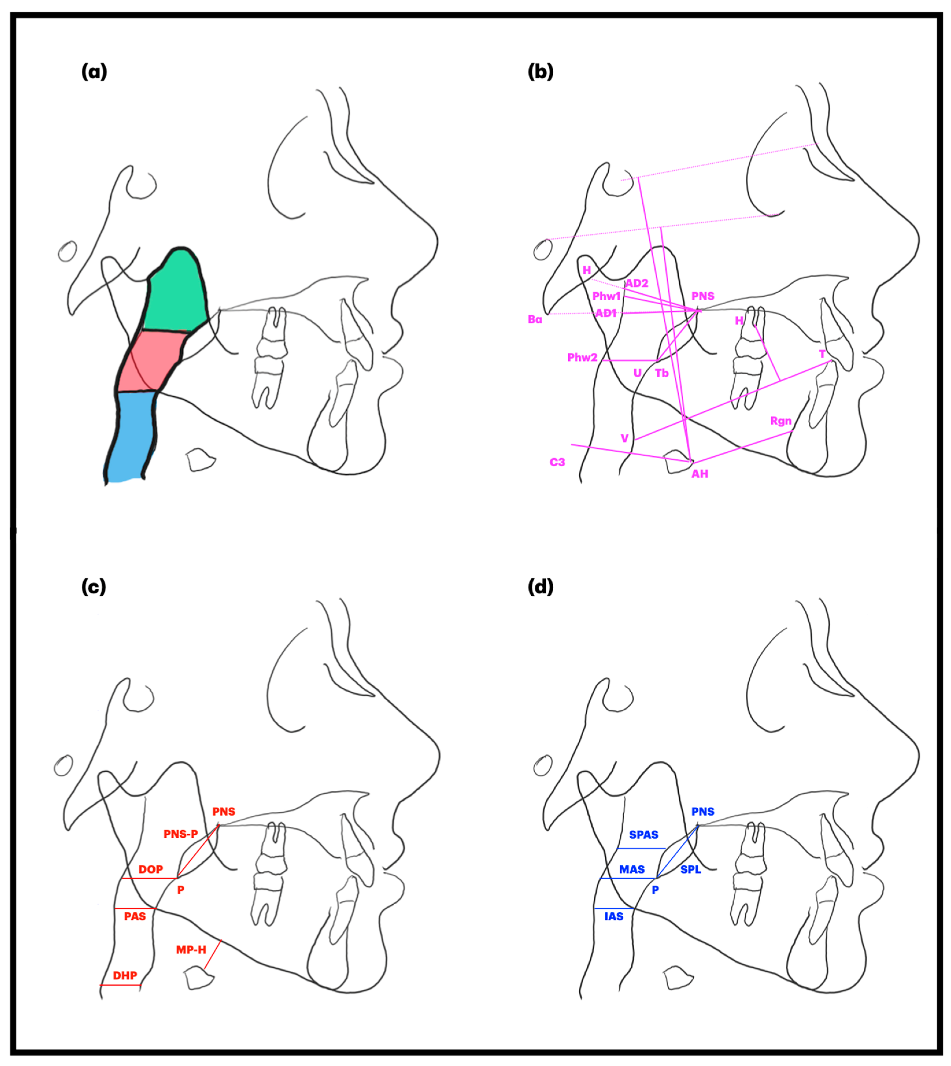 Children 12 00227 g002