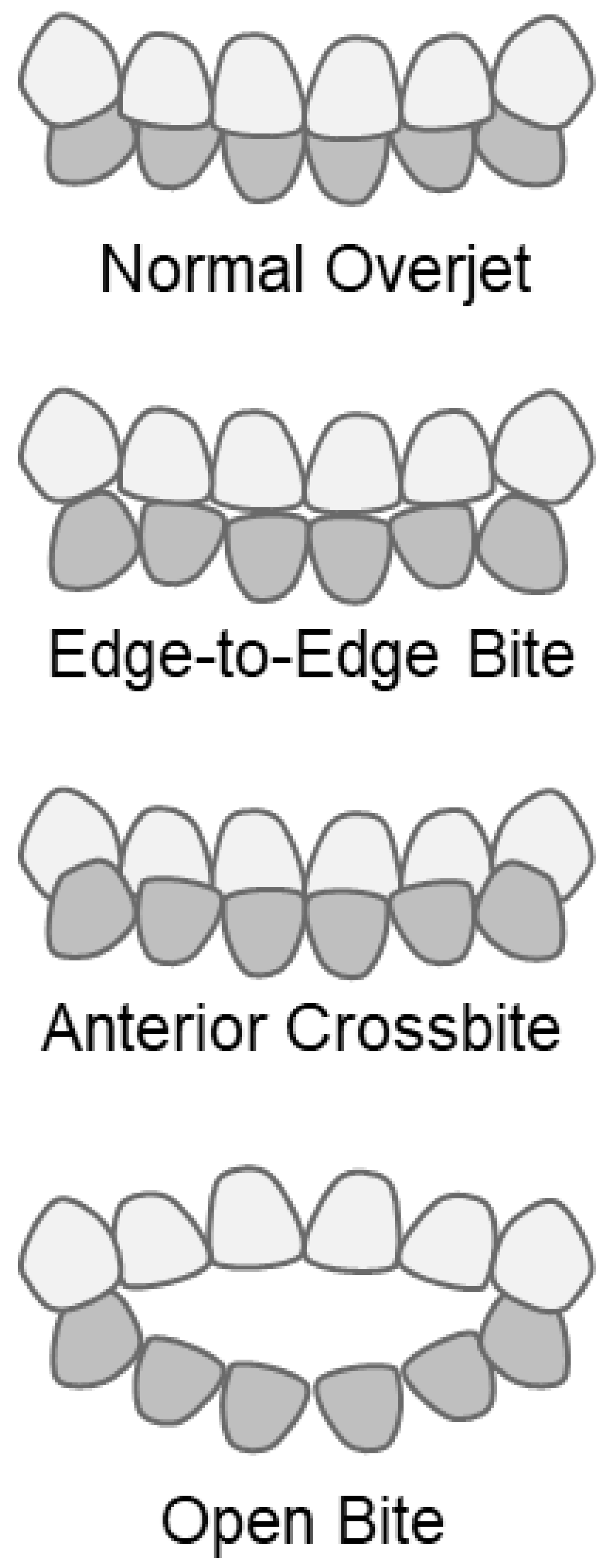 Children 12 00254 g002
