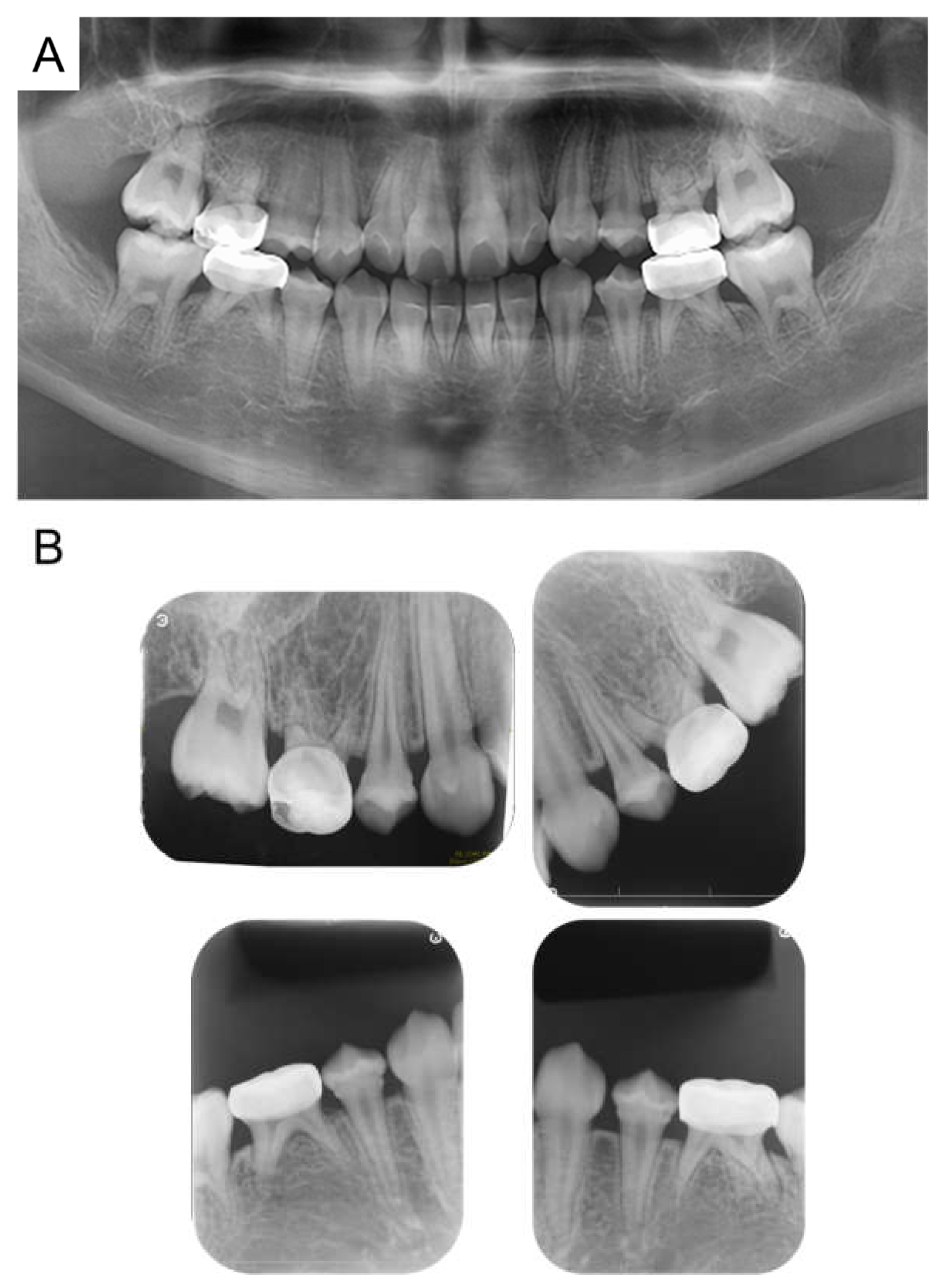Children 12 00261 g006