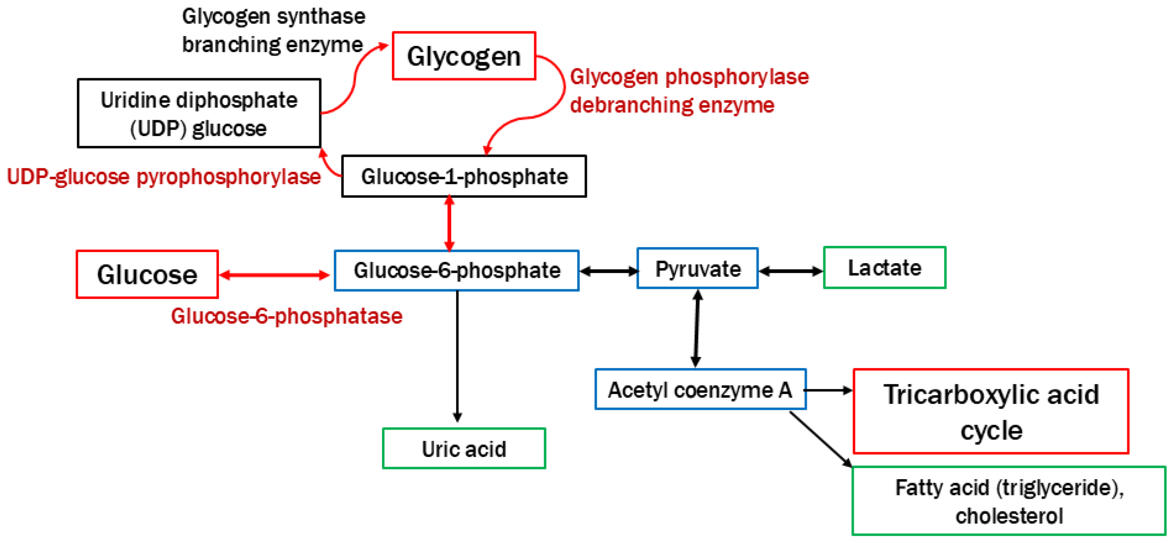 Children 12 00295 g001 Children 12 00295 g001