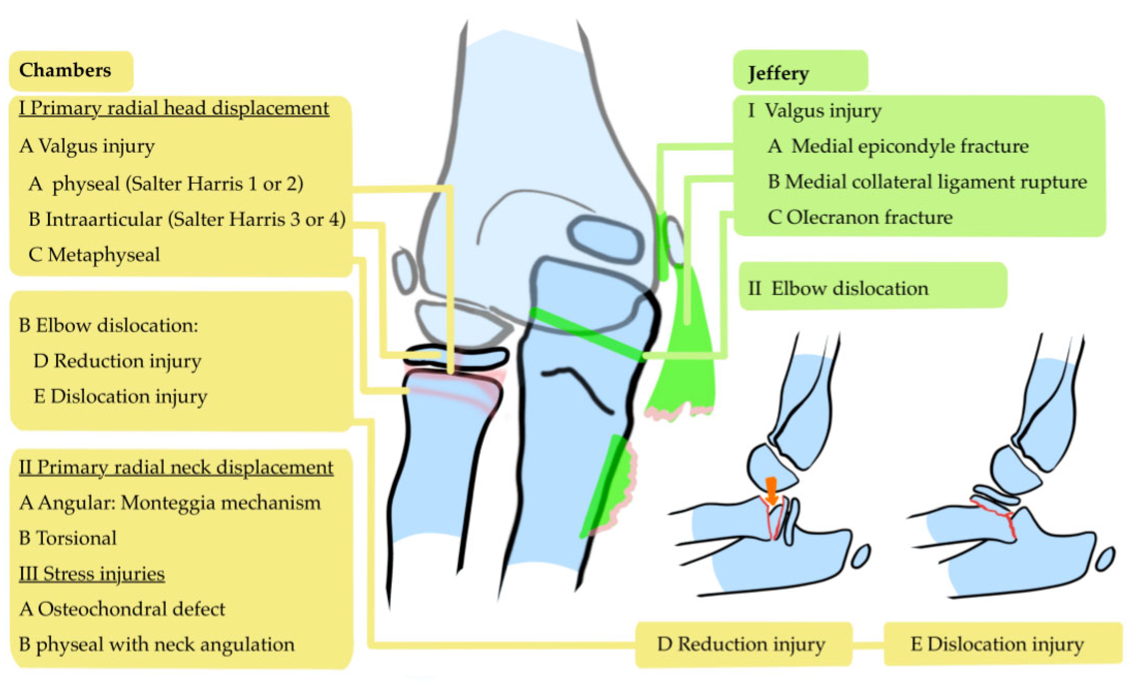 Children 12 00300 g006