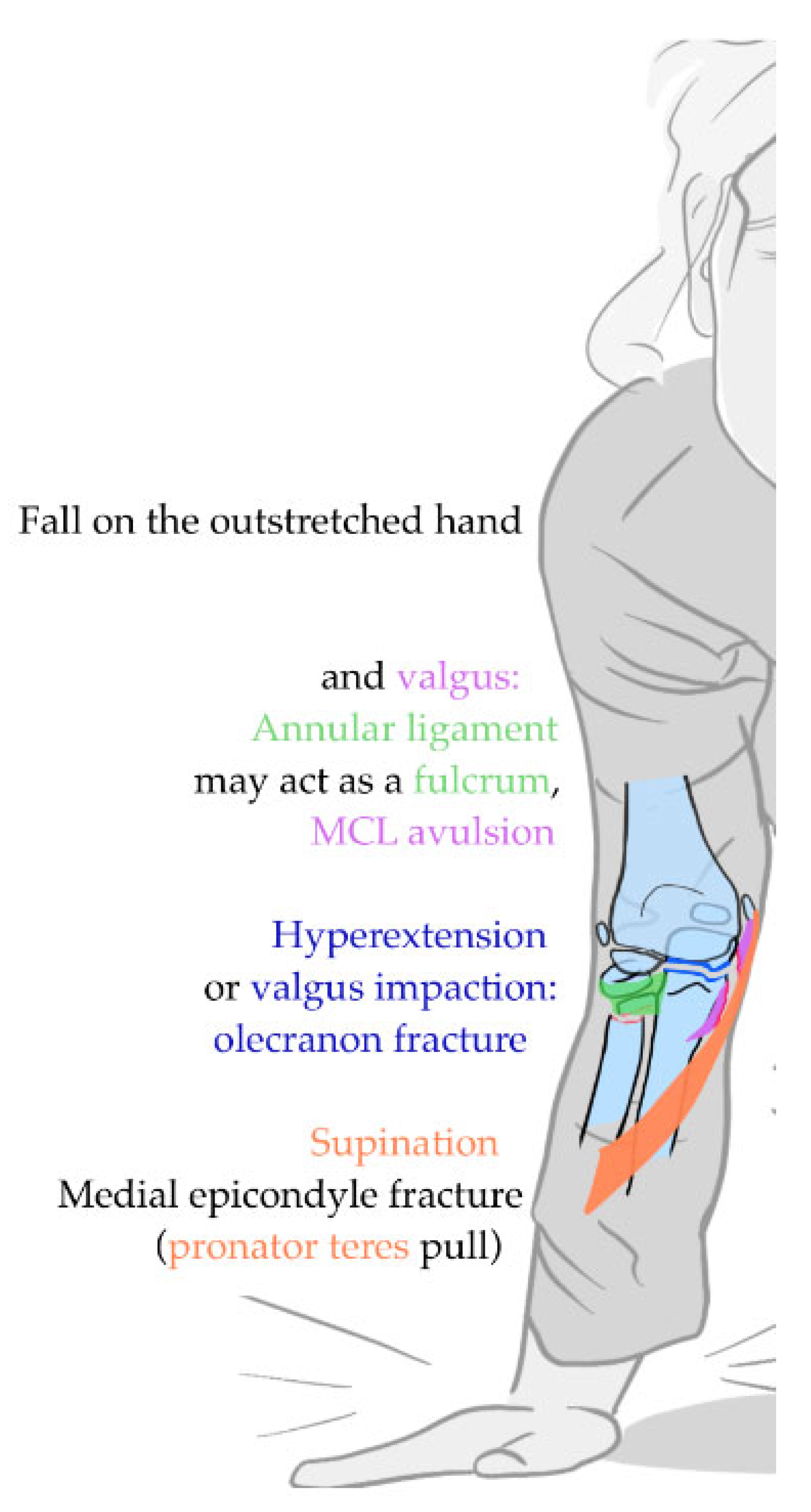 Children 12 00300 g007