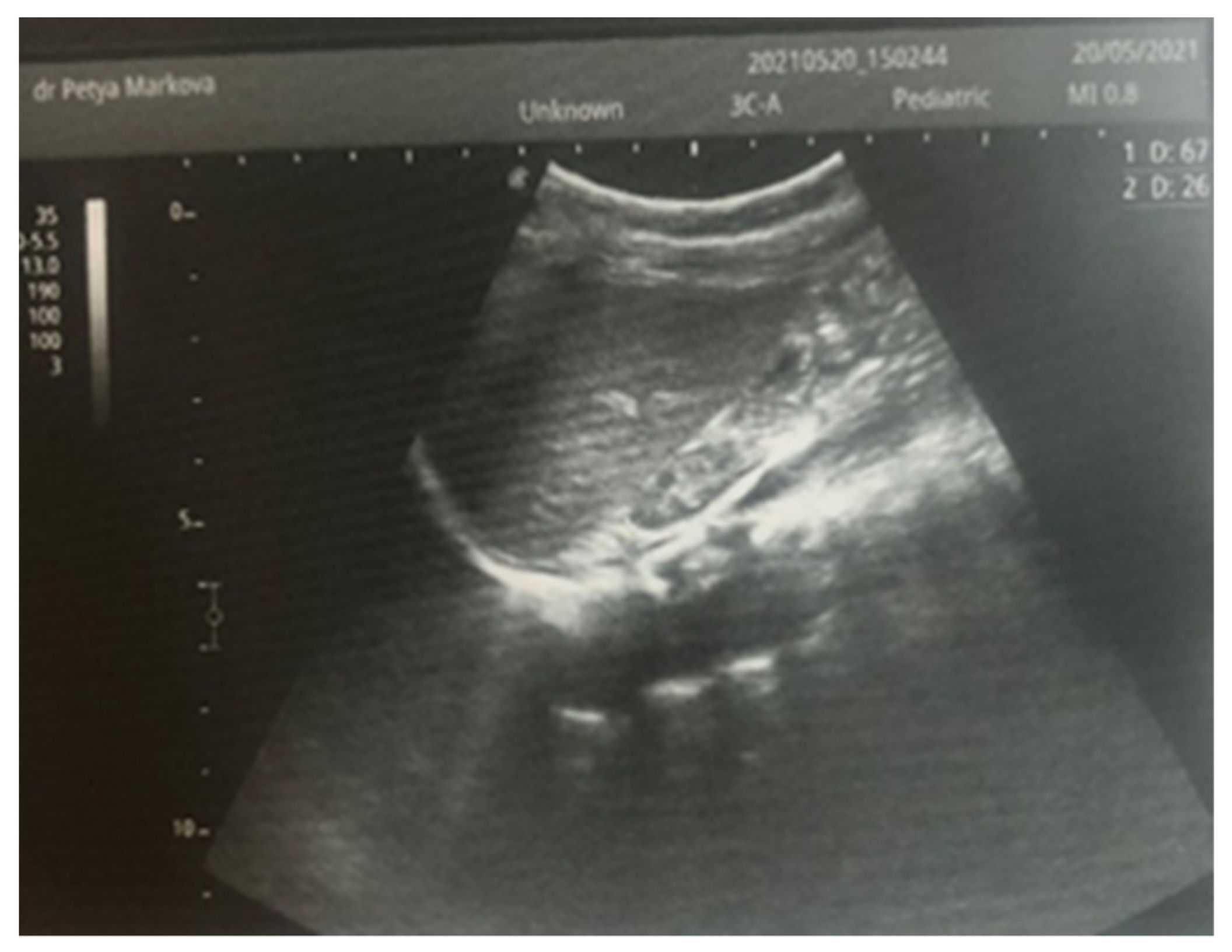 Children 12 00319 g004